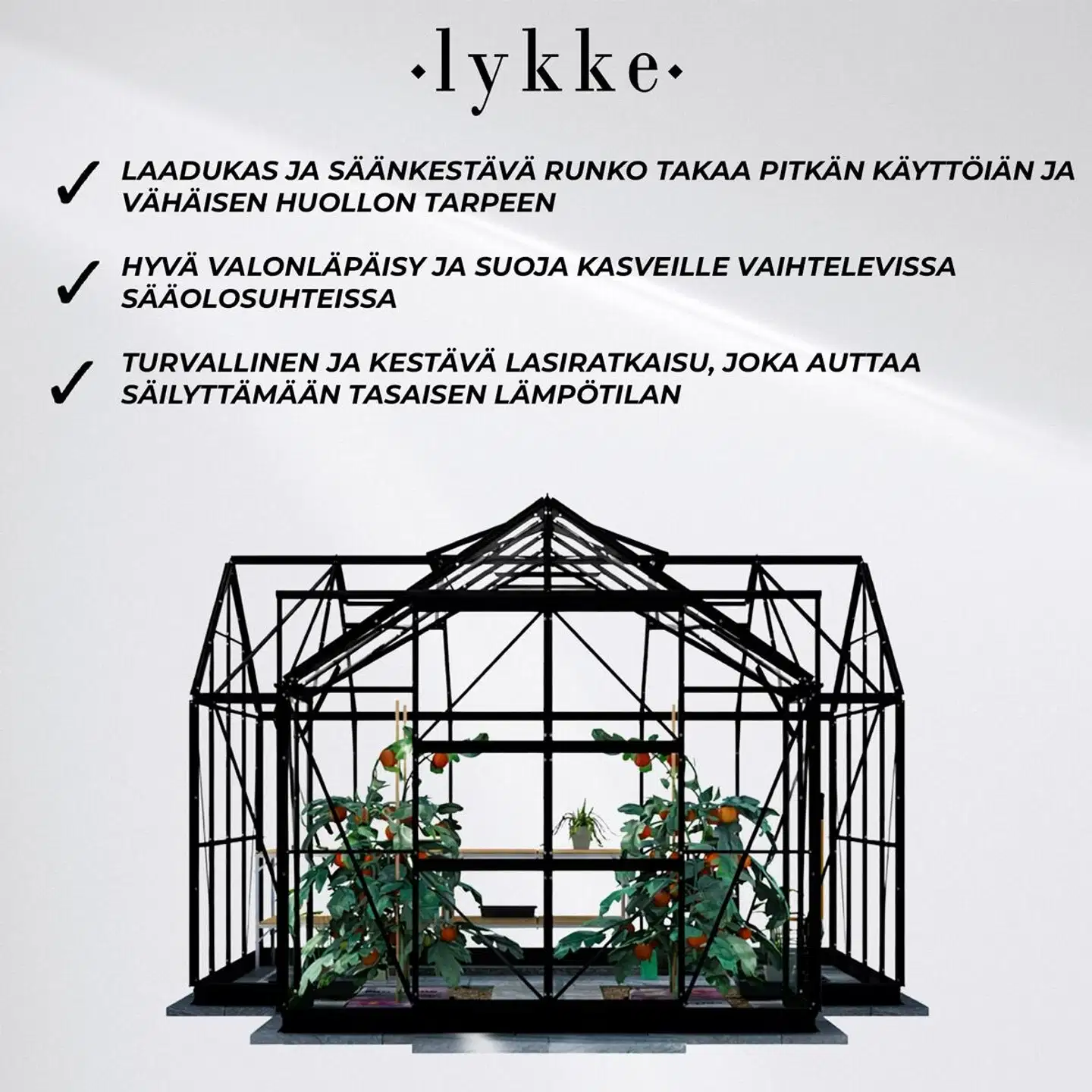 Lykke kasvihuone t-muotoinen musta 12,8 m2 - 3
