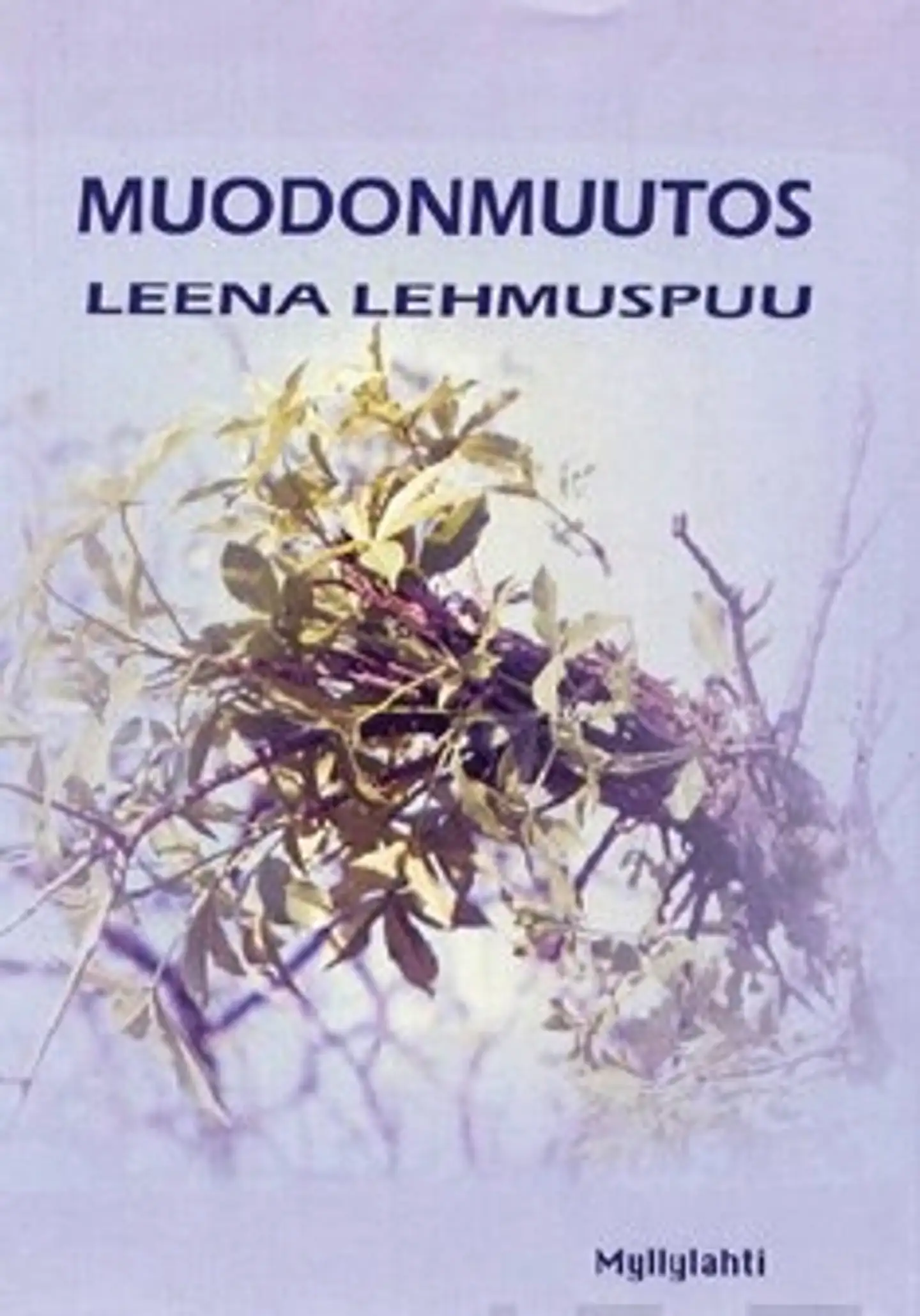 Muodonmuutos