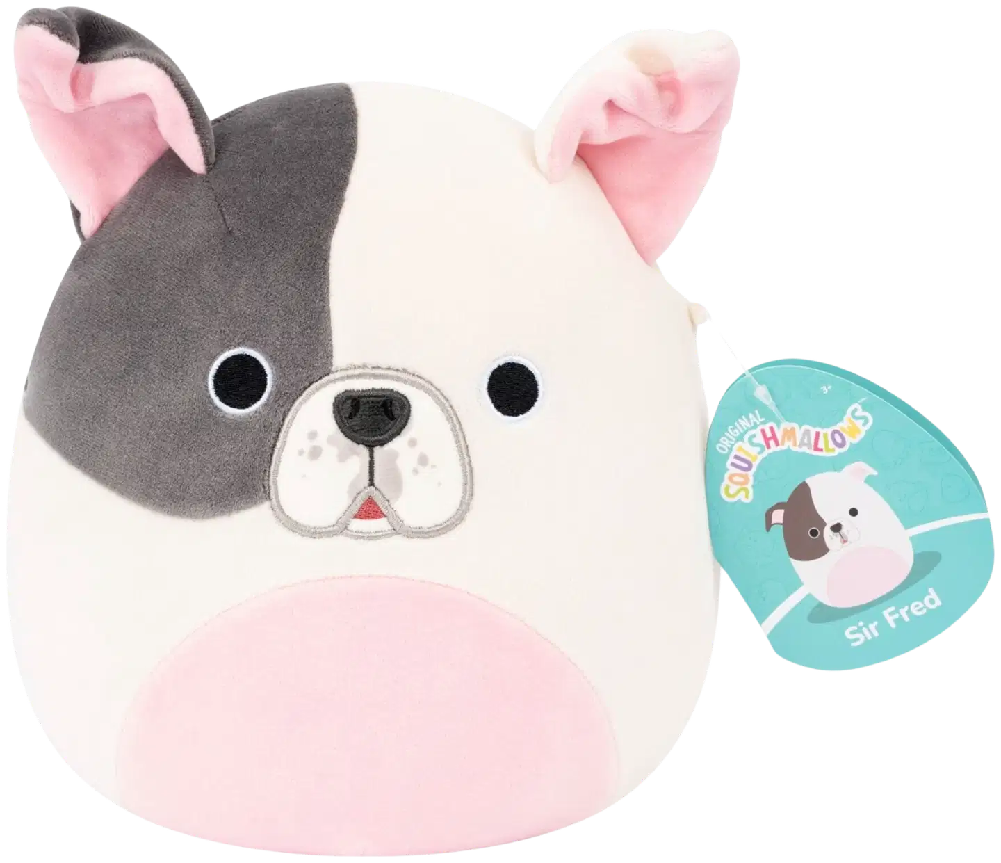 Squishmallows 19 cm P27 pehmo A ja C - 9