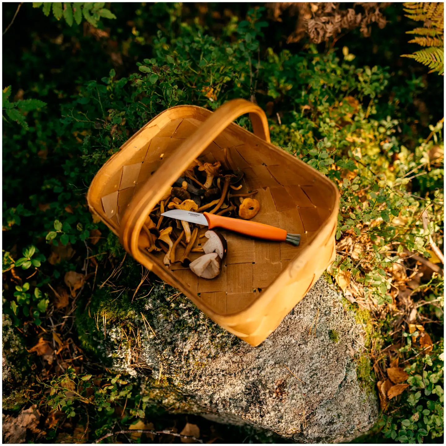 Fiskars sieniveitsi 21 cm oranssi - 6