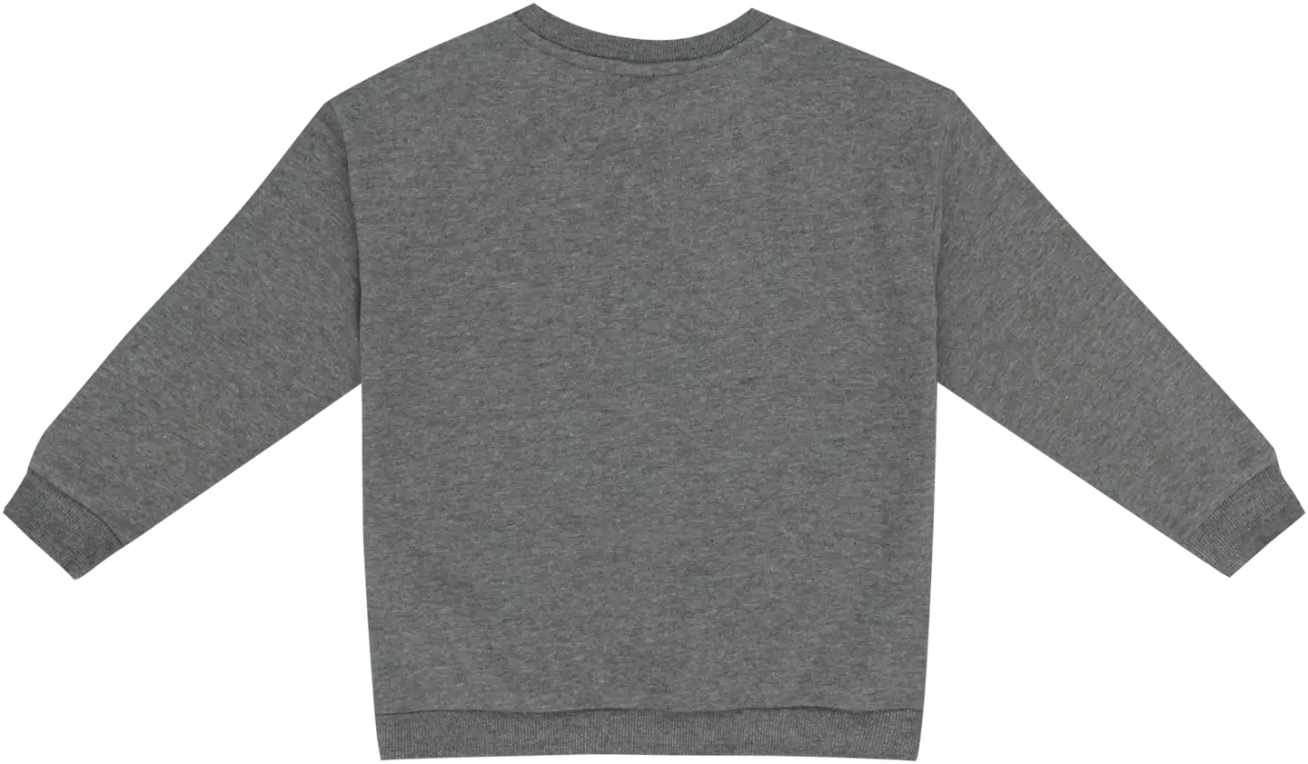 Nickelodeon lasten collegepaita Ryhmä Hau I991470 - GREY CHINE DARK - 2