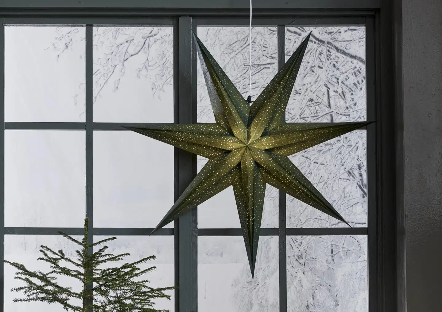 Star Trading paperitähti Holly 75 cm - 4