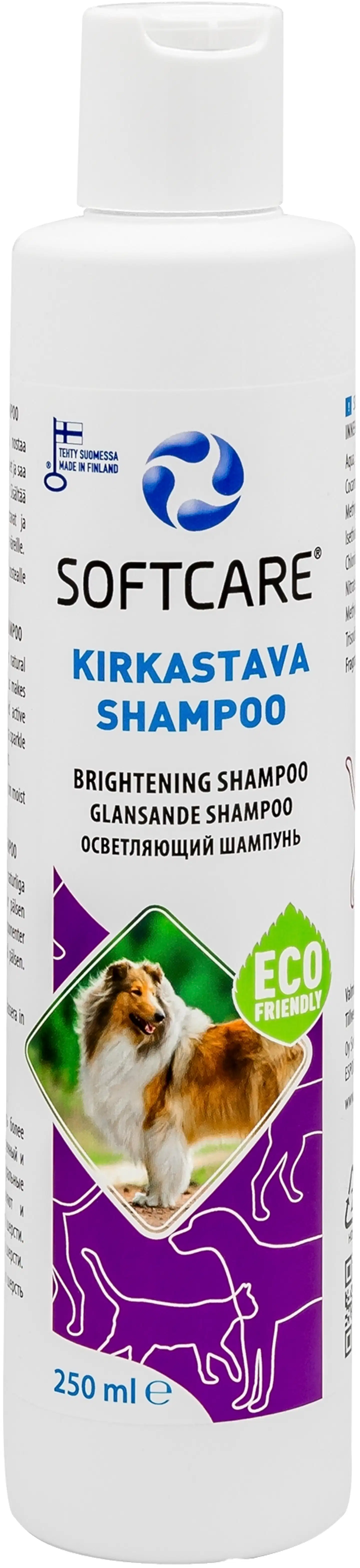 Softcare Kirkastava Shampoo 250 ml