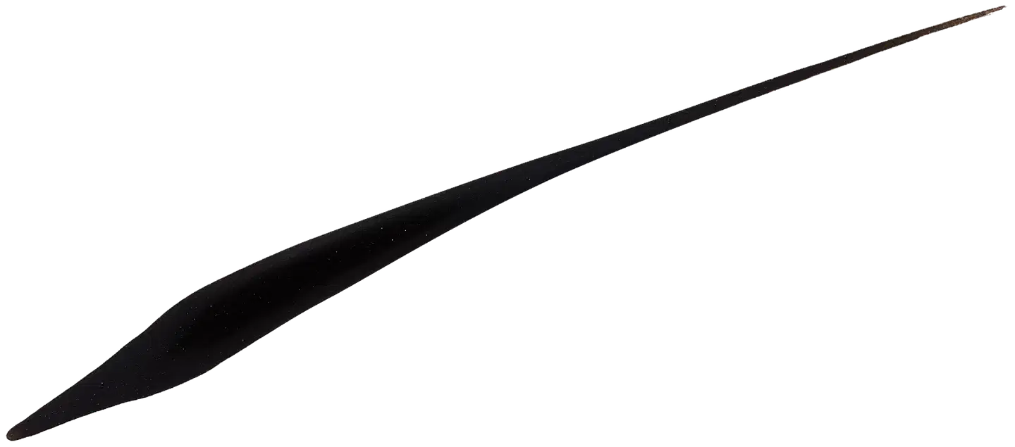 L'Oréal Paris Super Liner Perfect Slim 01 Intense Black -silmänrajaustussi - Intense Black - 3