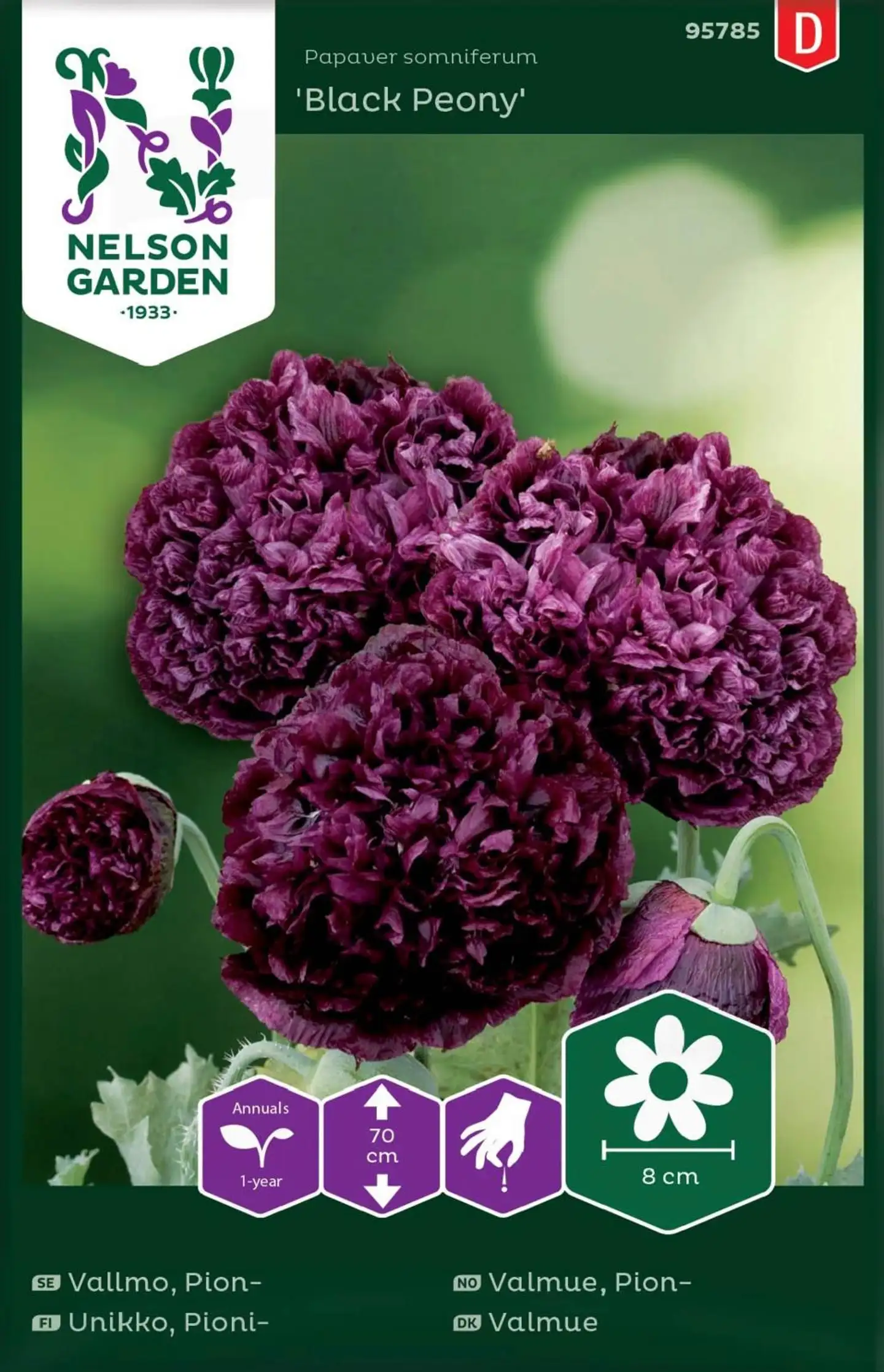 Nelson Garden Siemen Unikko, Pioni,- Black Peony