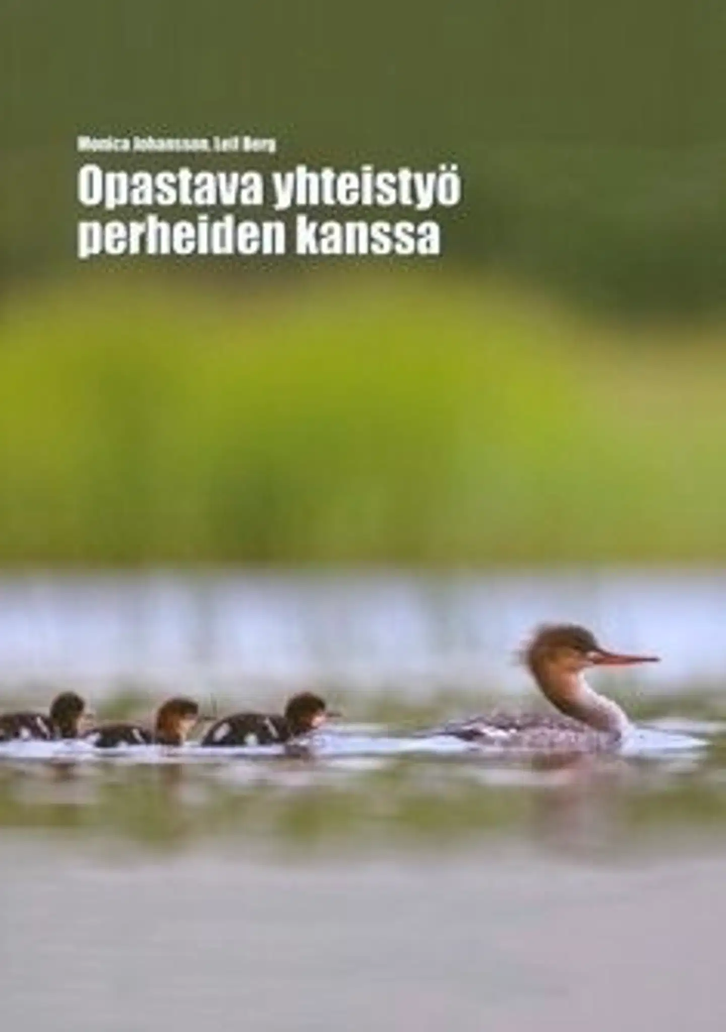 Johansson, Opastava yhteistyö perheiden kanssa