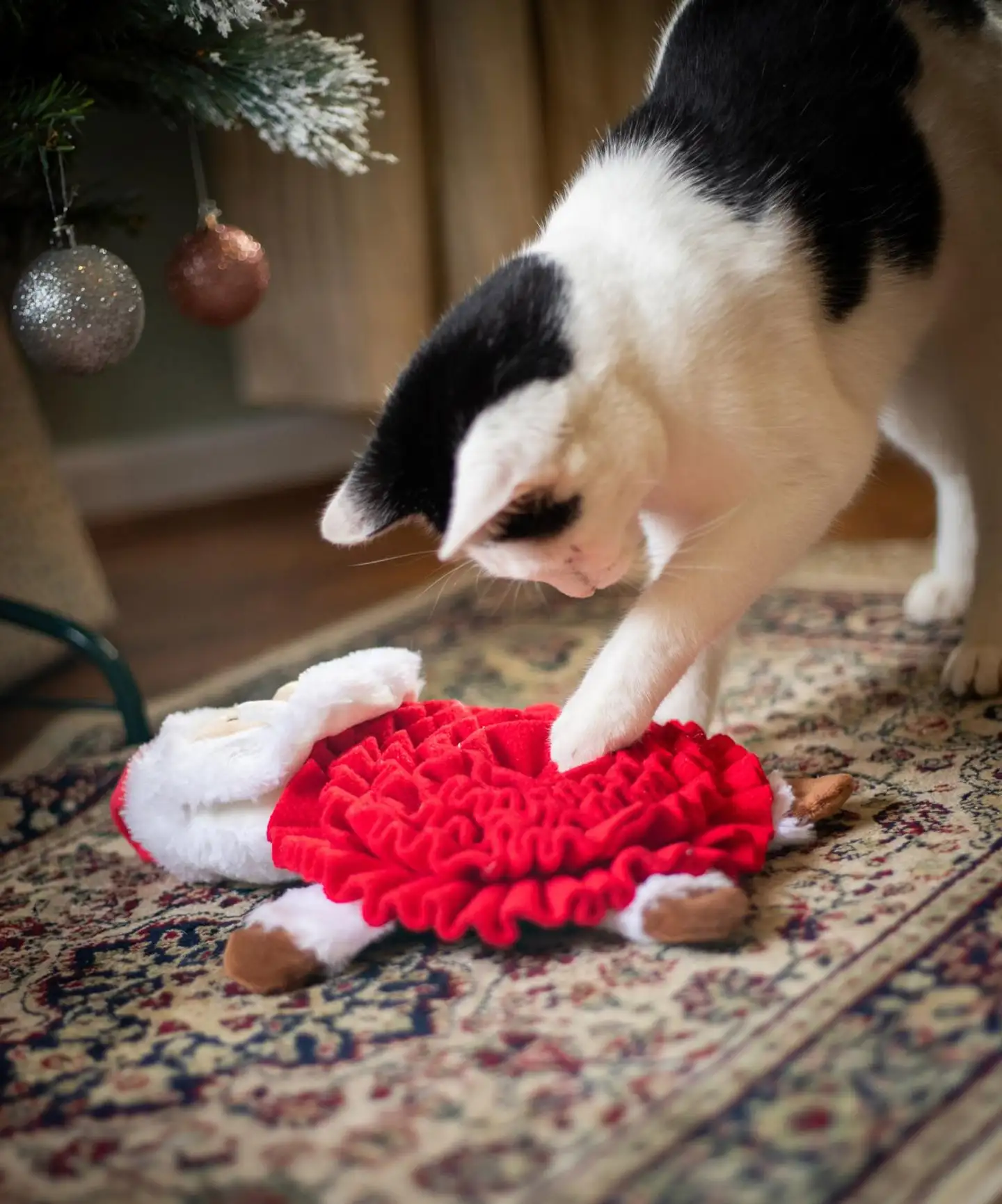 Rosewood Steve-nuuskupukki - 4