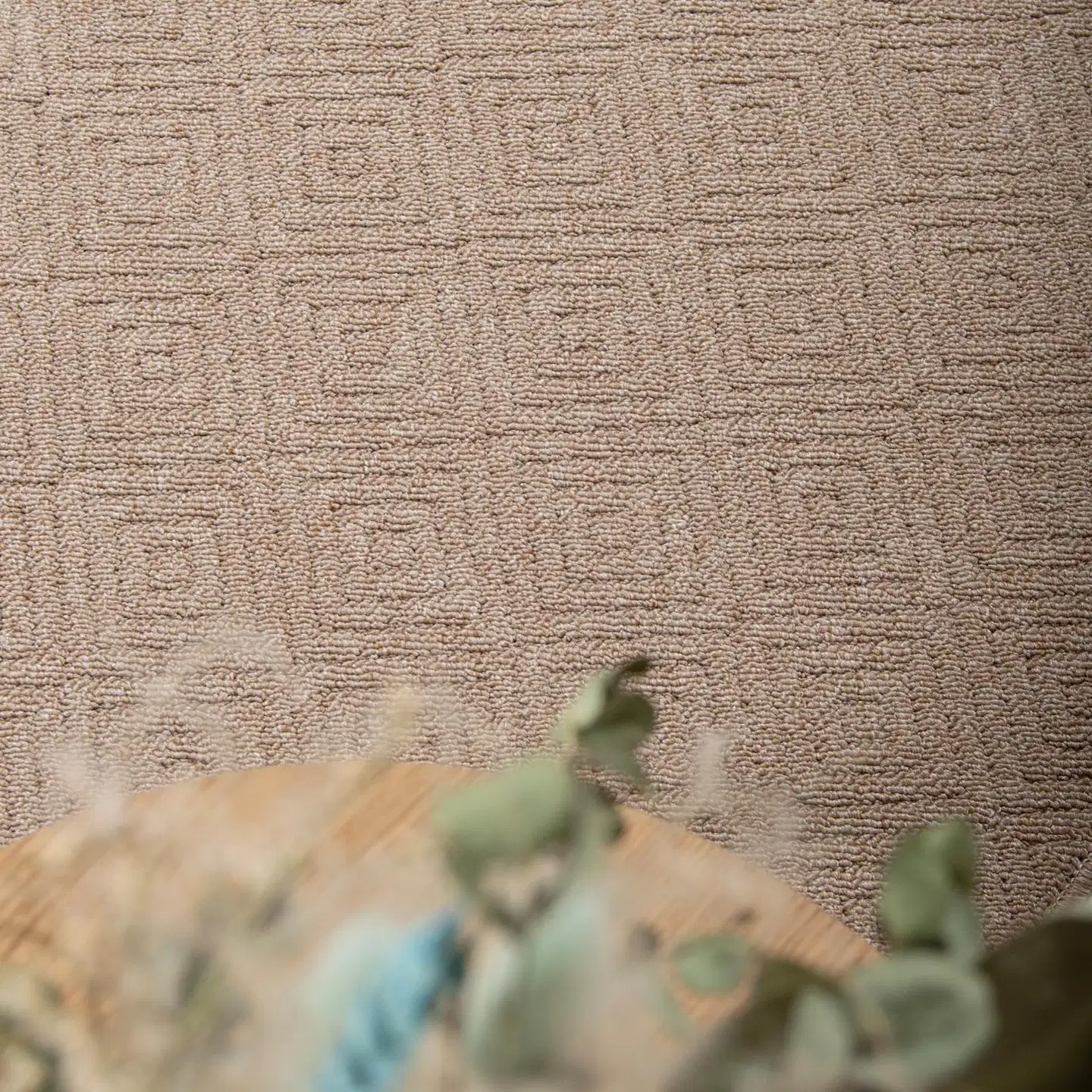 ihankotona matto Selja 80x250 cm beige - 4