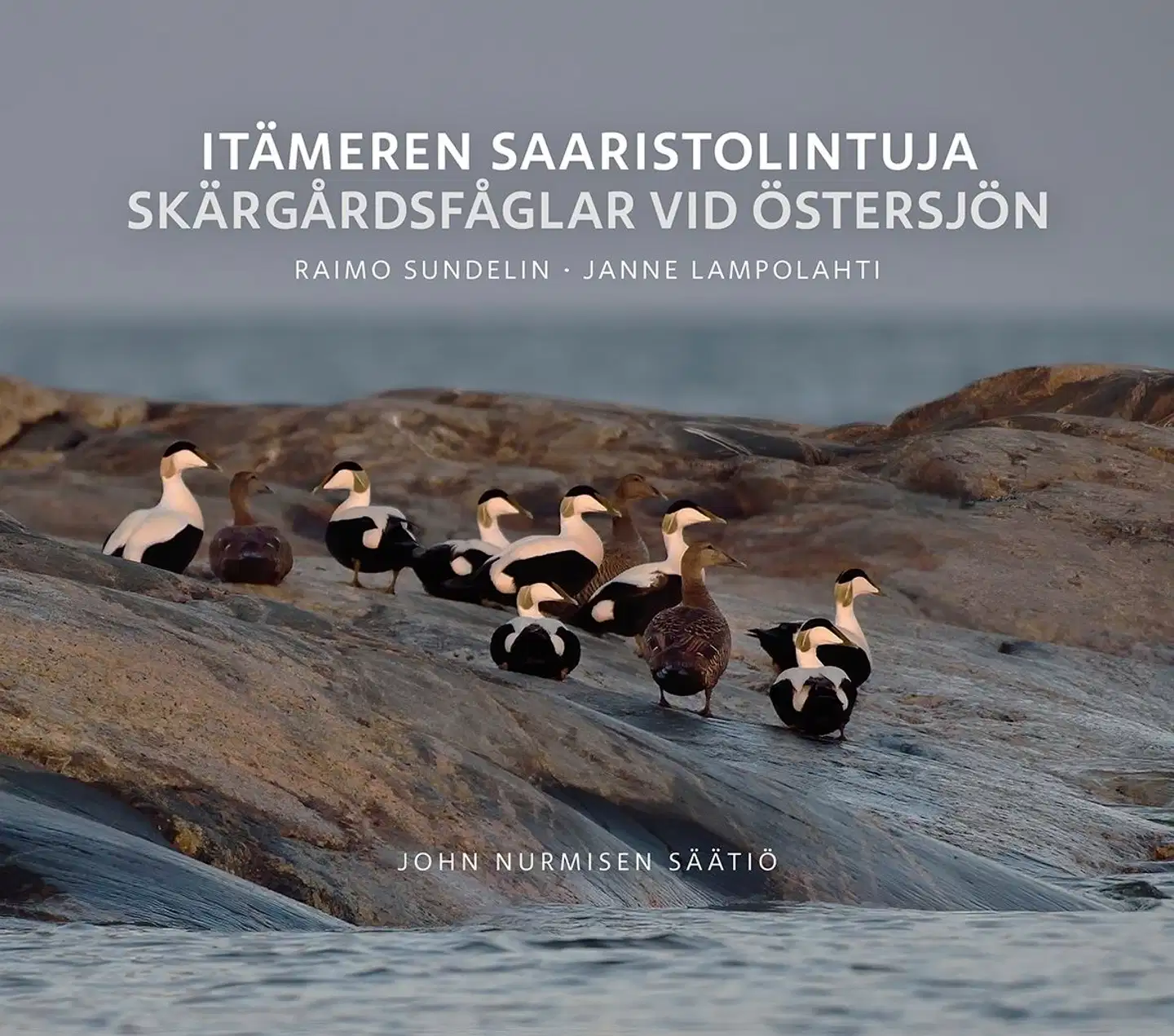 Lampolahti, Itämeren saaristolintuja - Skärgårdsfåglar vid Östersjön