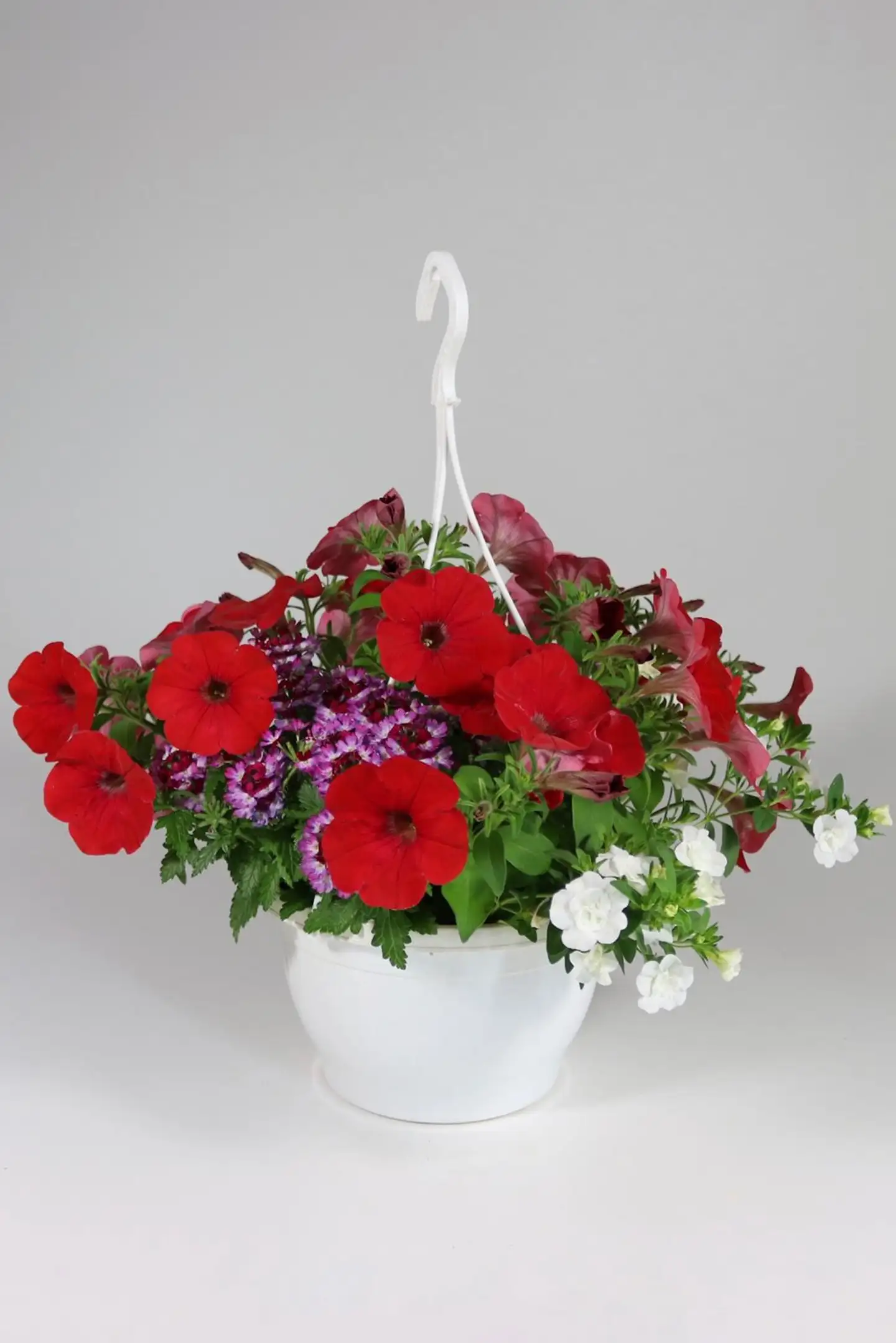 Huiskula petunia-amppeli 23 cm - 1