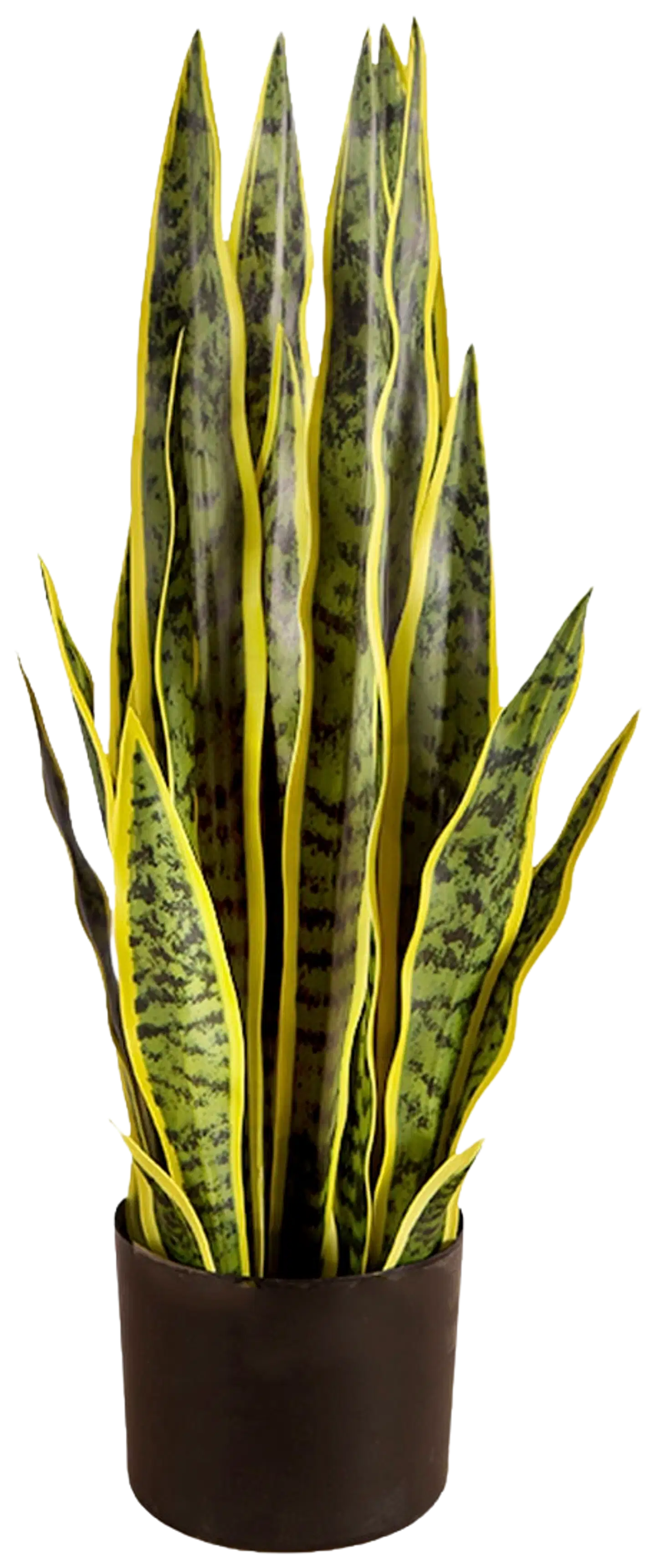Lykke tekokasvi snake plant 65cm - 1