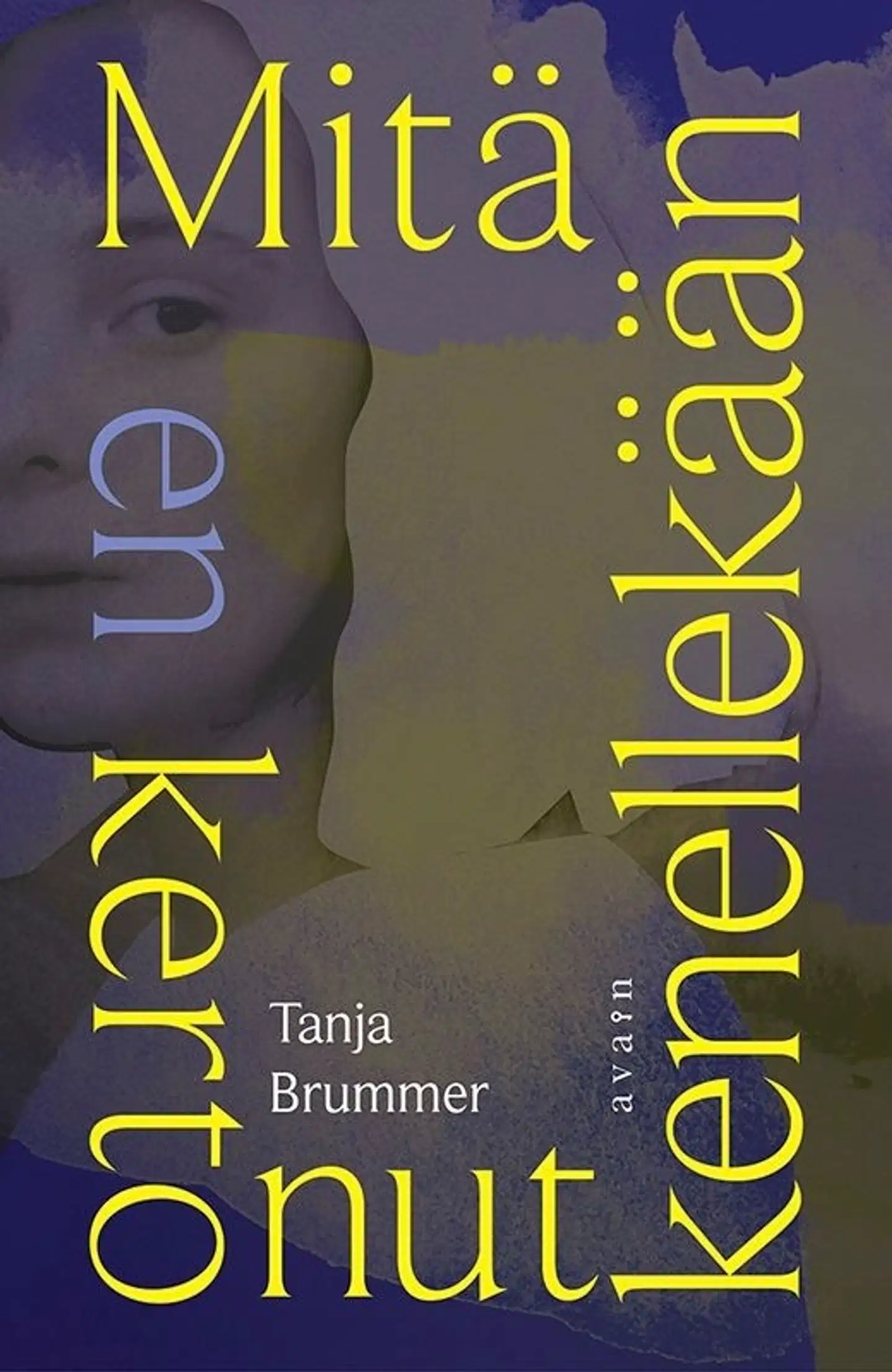 Brummer, Mitä en kertonut kenellekään