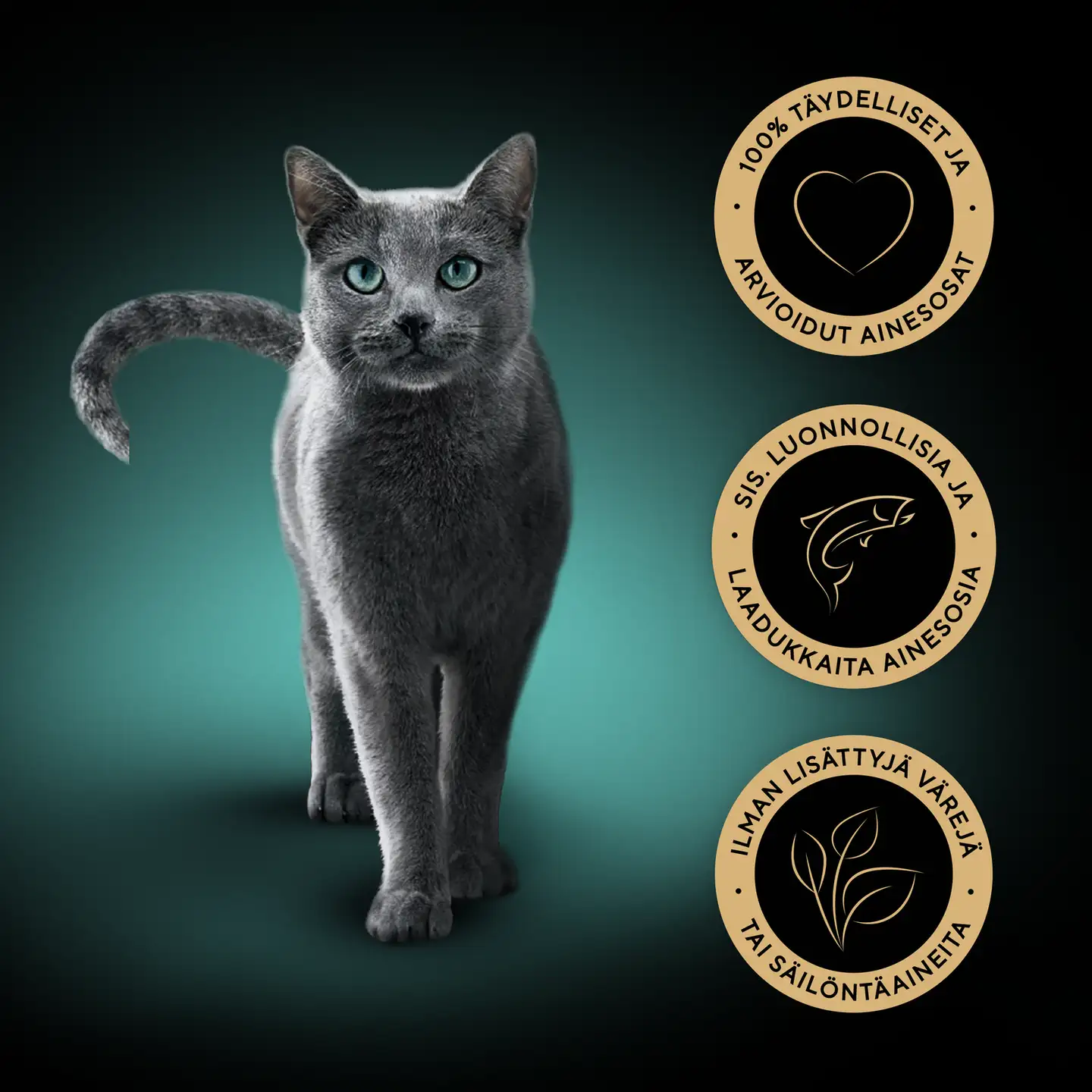 Sheba Classics sis. Lohta MSC 85g - 6