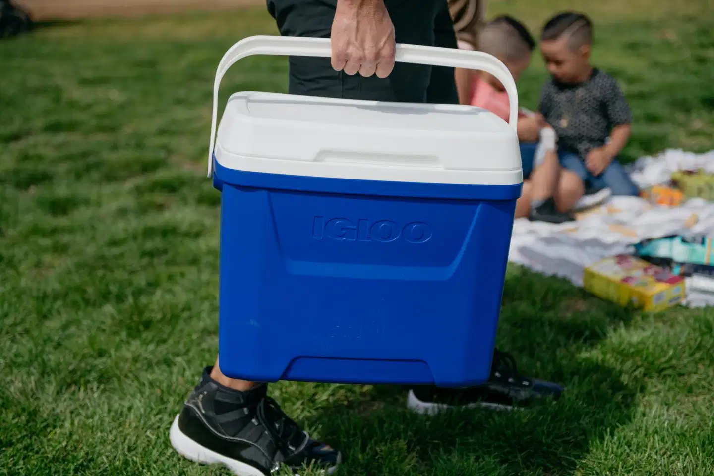 Igloo Laguna 27 l -kylmälaukku sininen - 7