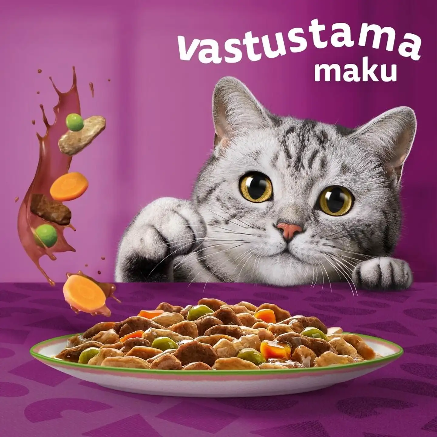 Whiskas Tasty Mix Kokin Valinta kastikkeessa (12 x 85 g) - 4