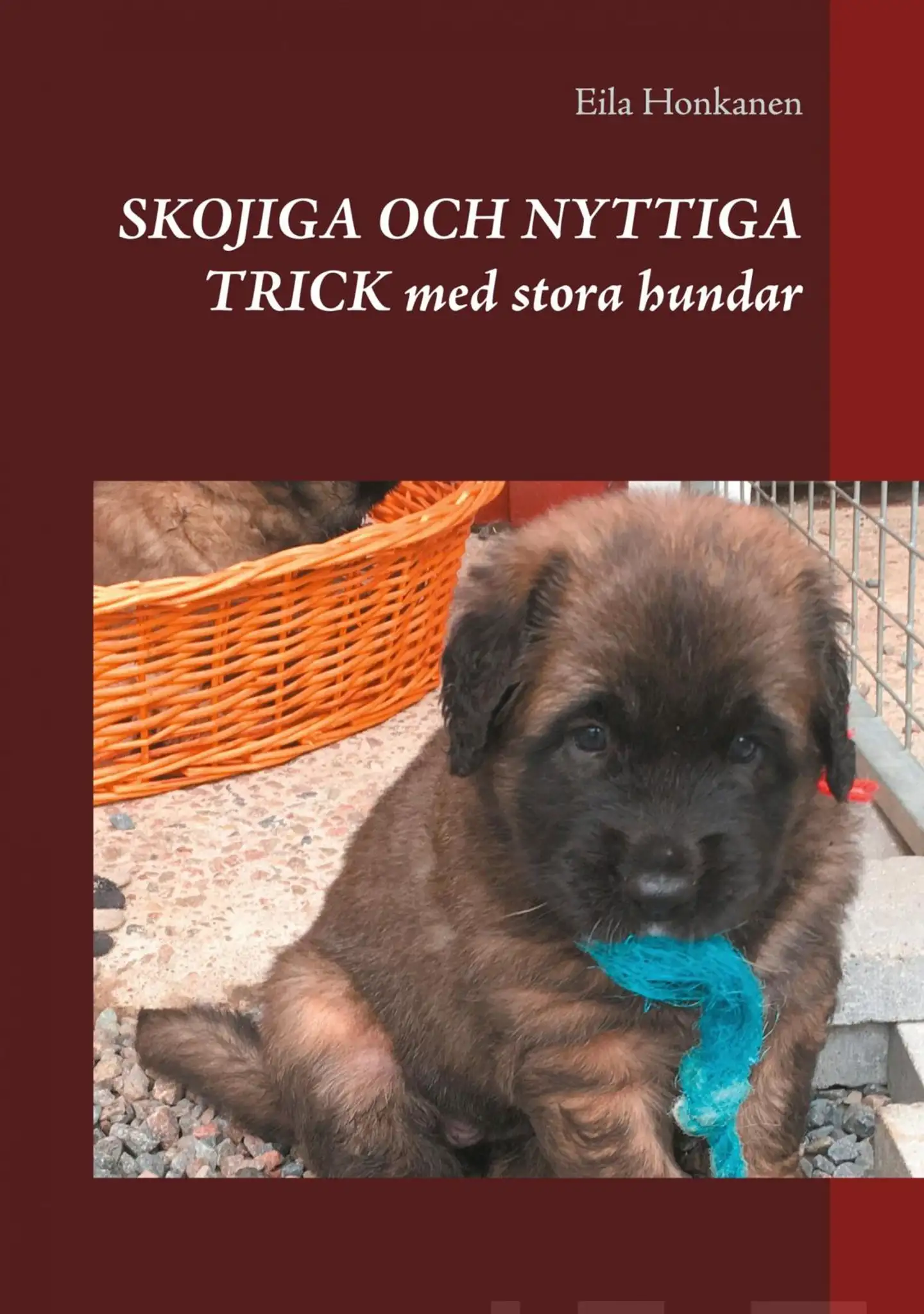 Honkanen, Skojiga och nyttiga trick med stora hundar