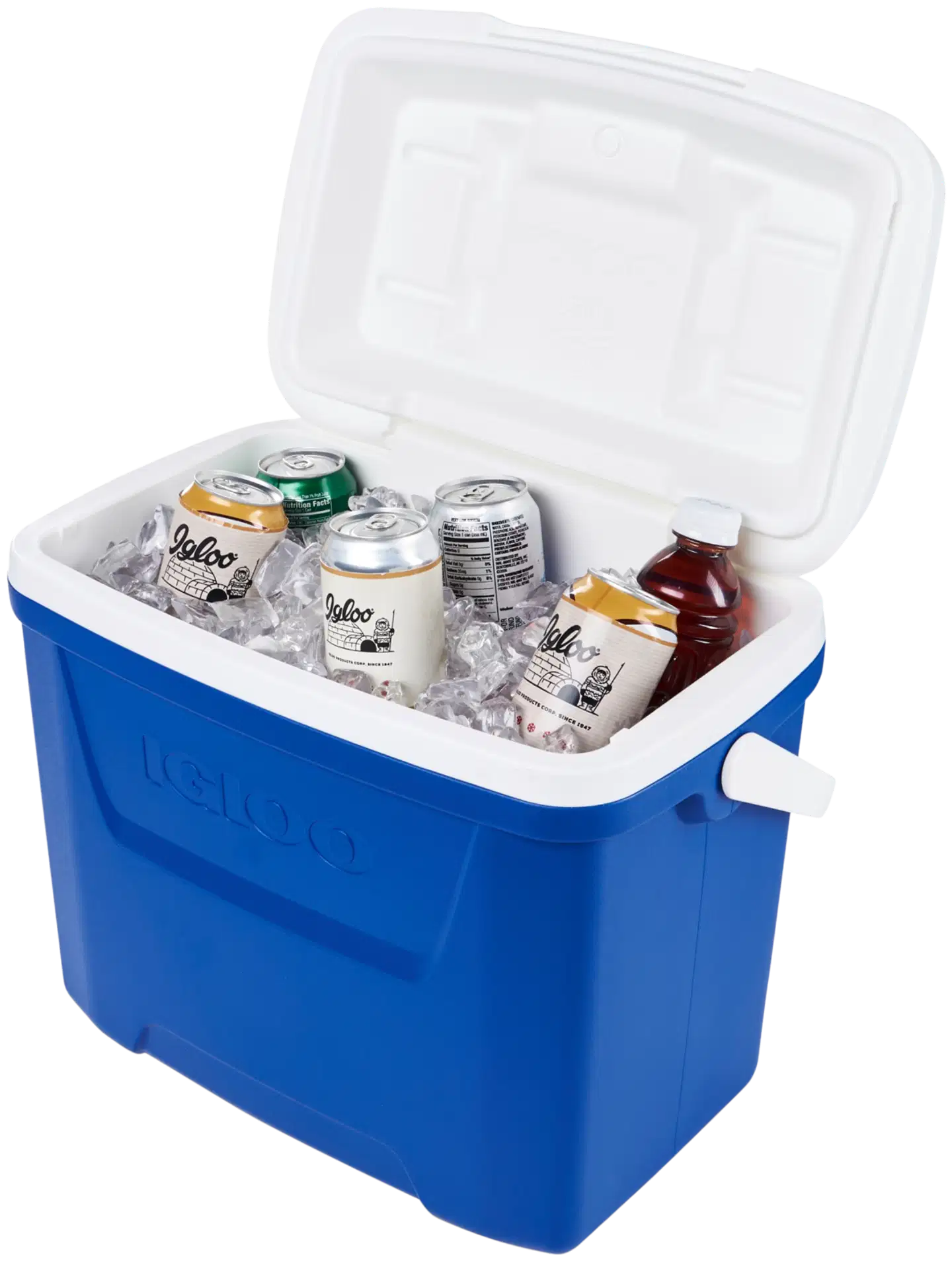 Igloo Laguna 27 l -kylmälaukku sininen - 3