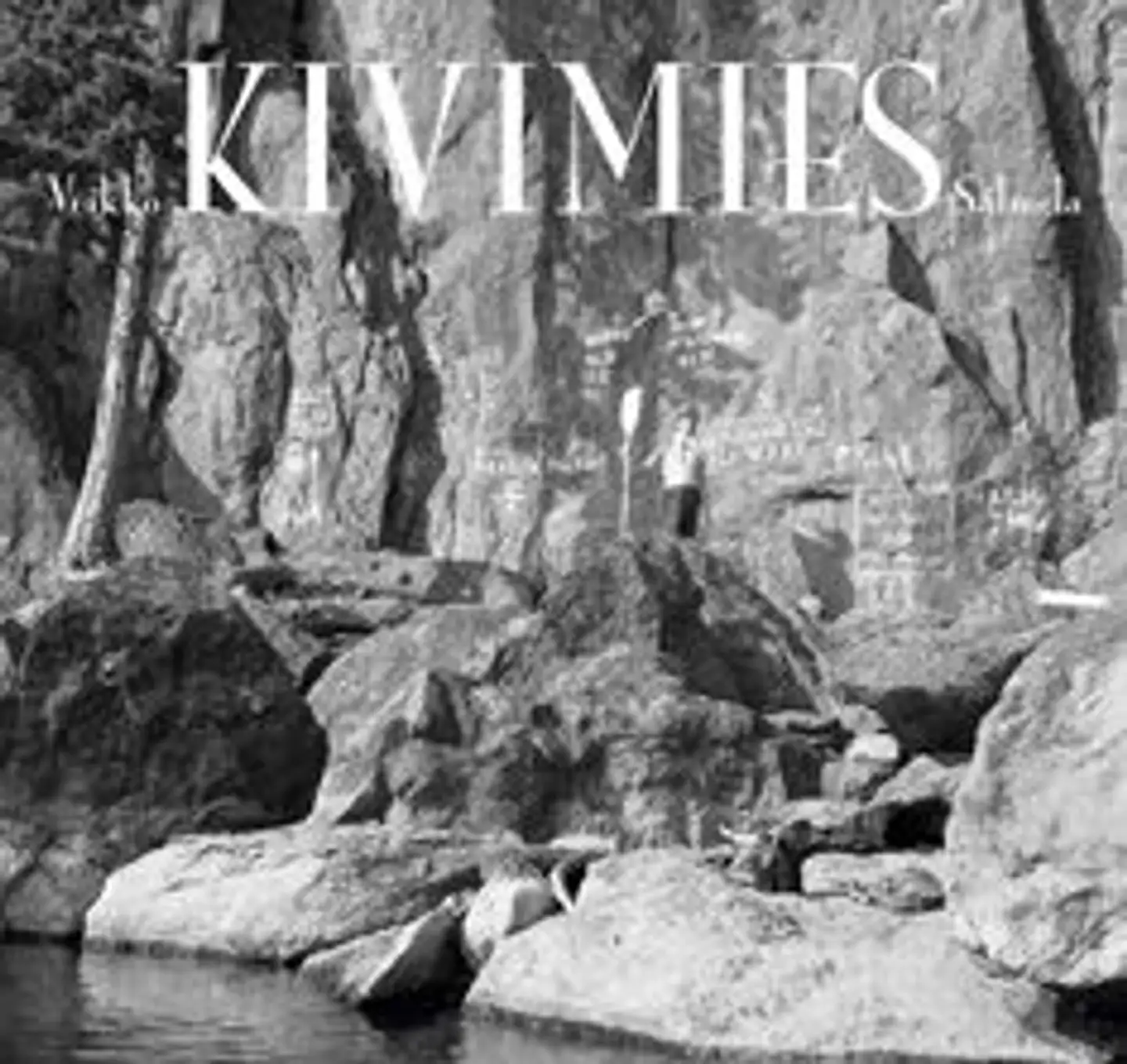 Salmela, Kivimies
