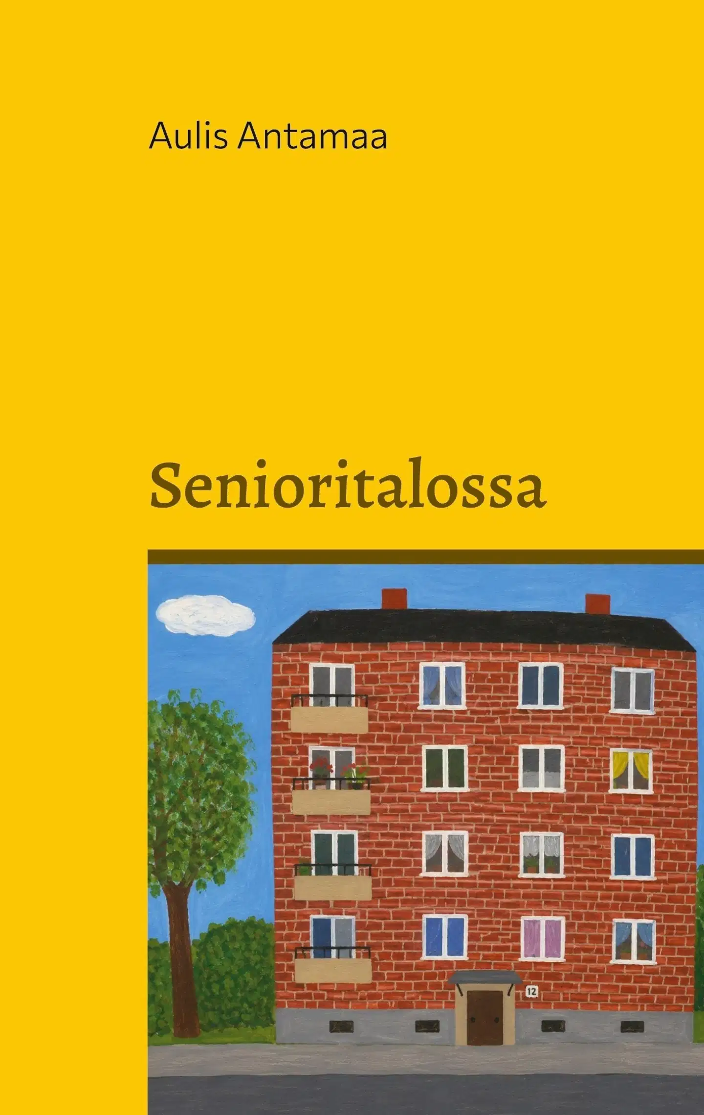 Antamaa, Senioritalossa