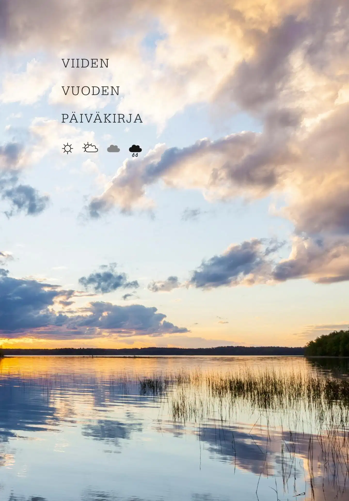 Viiden vuoden päiväkirja, Saari