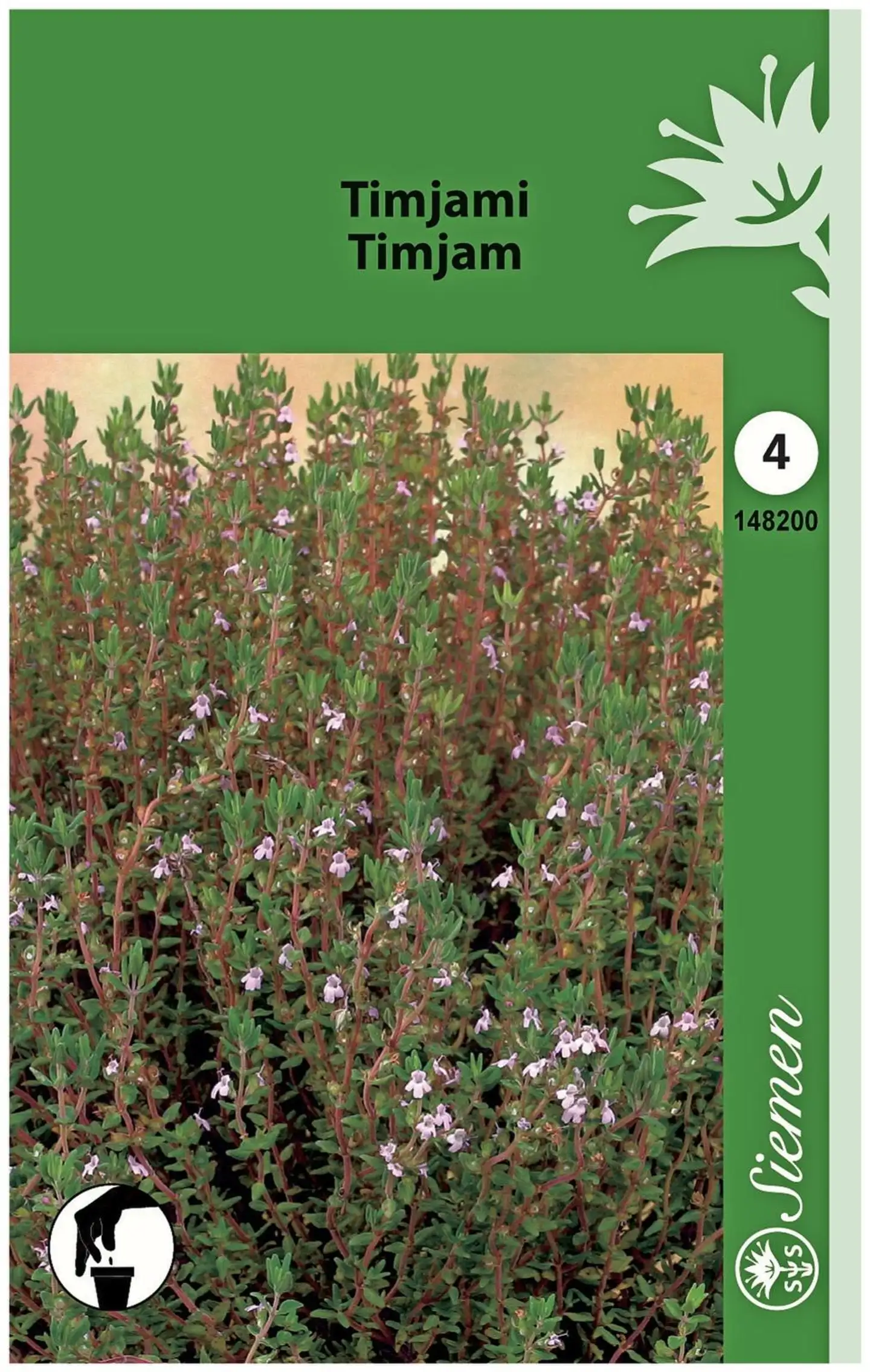 Timjami (Thymus) Moniv.