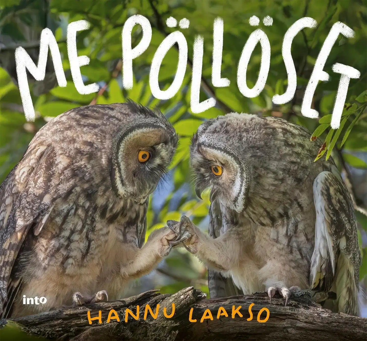 Laakso, Me Pöllöset