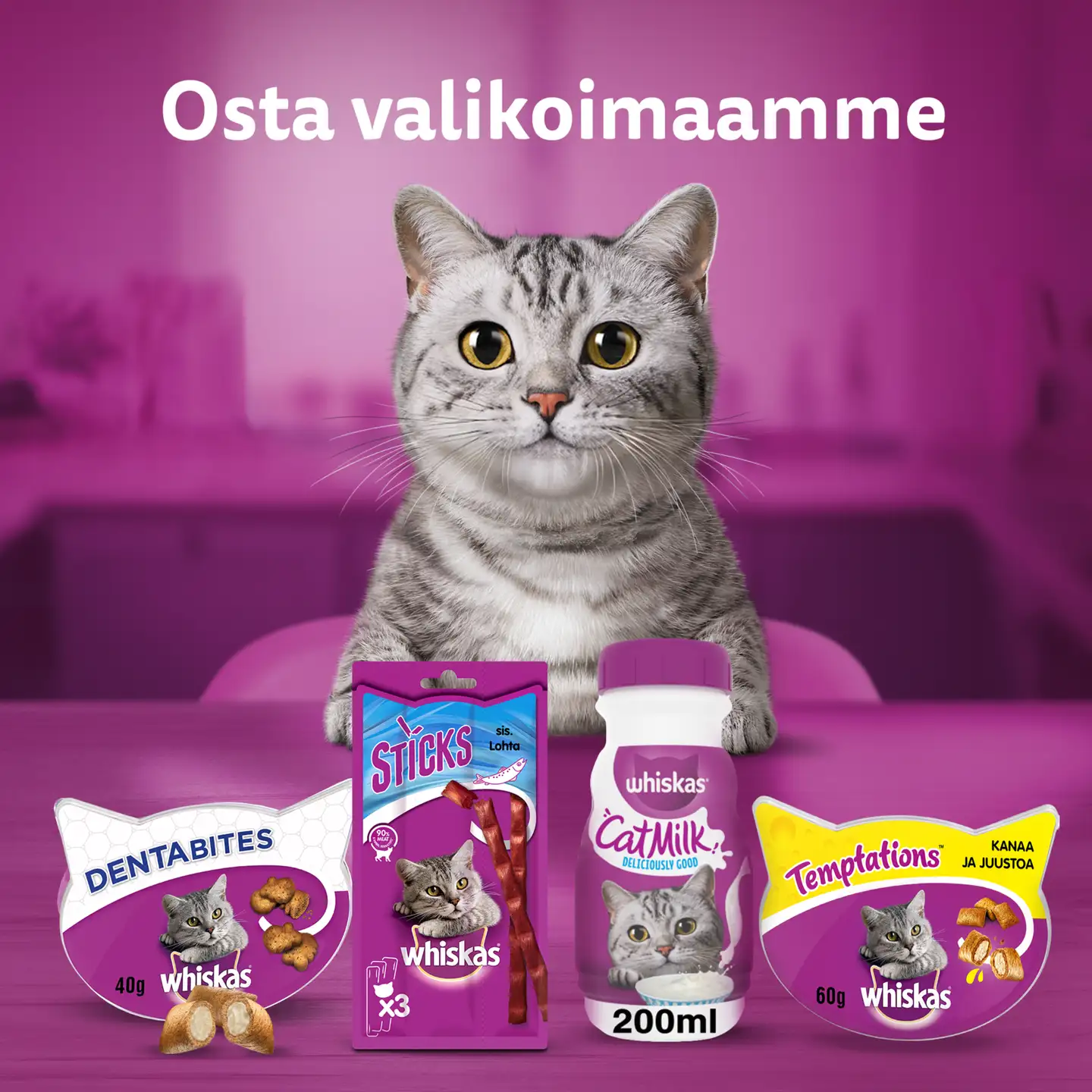 Whiskas Kissanmaito 3x200ml - 4