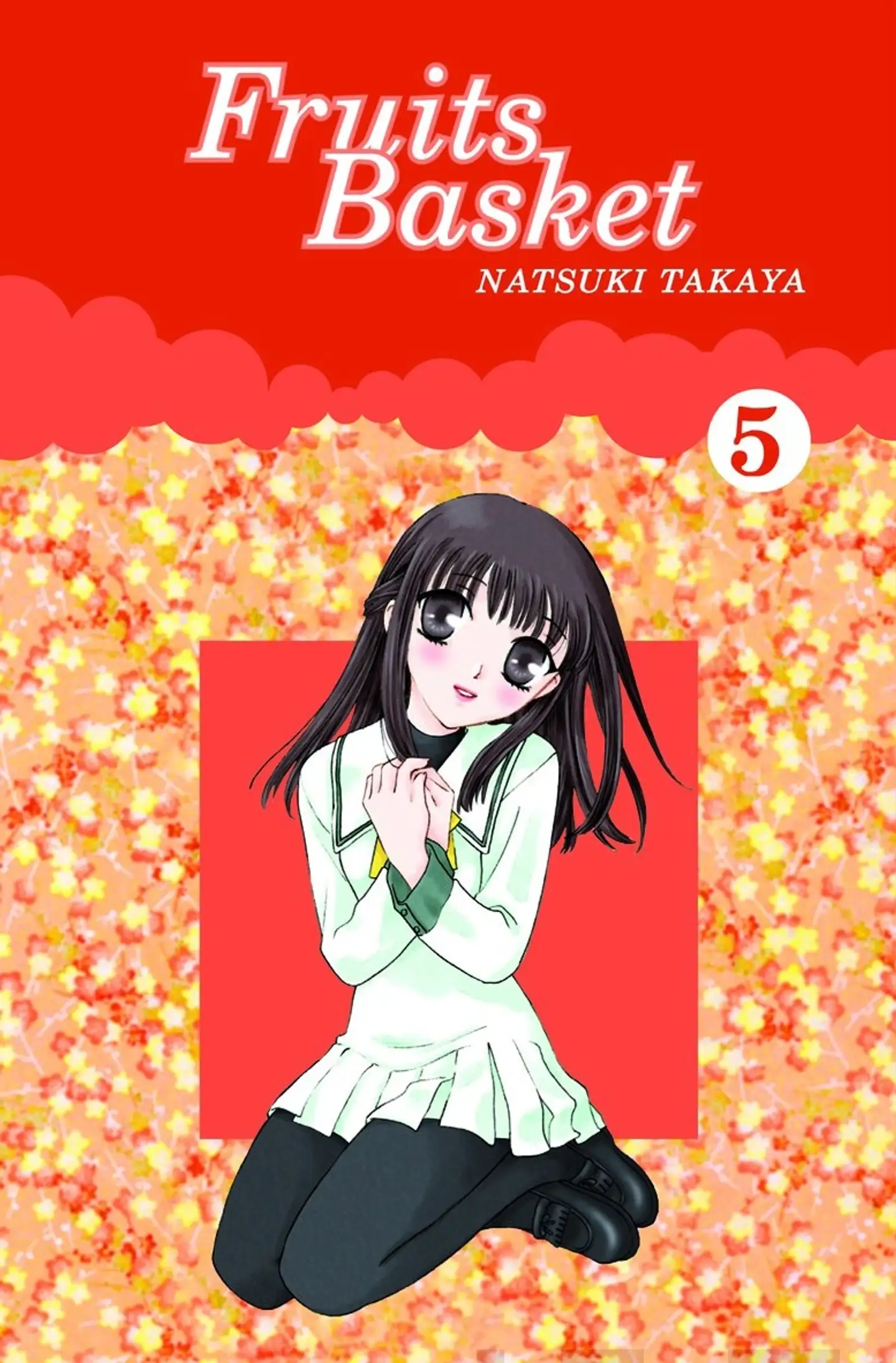 Fruits Basket  5