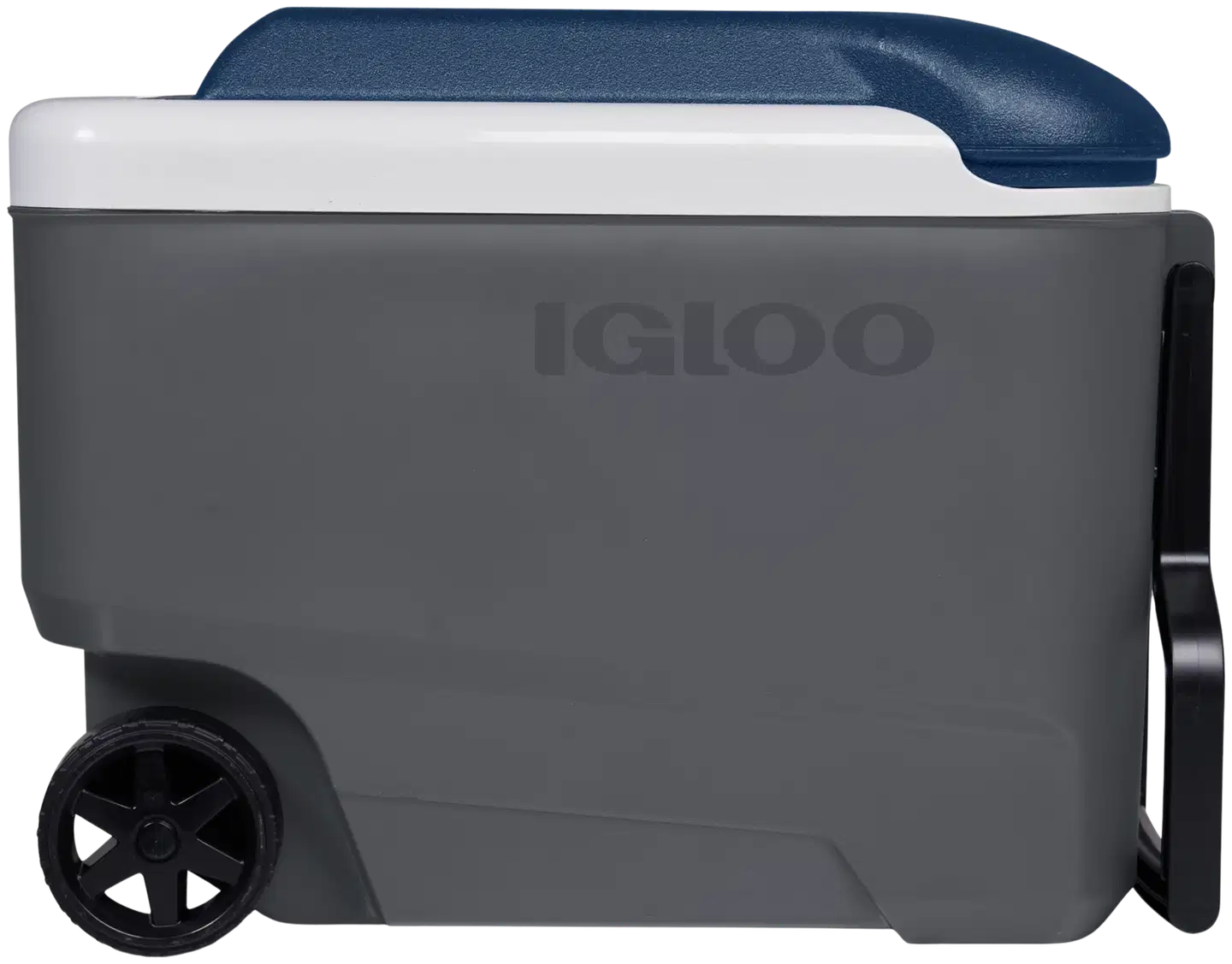 Igloo Maxcold R 38 l kylmälaukku pyörillä tummanharmaa - 7