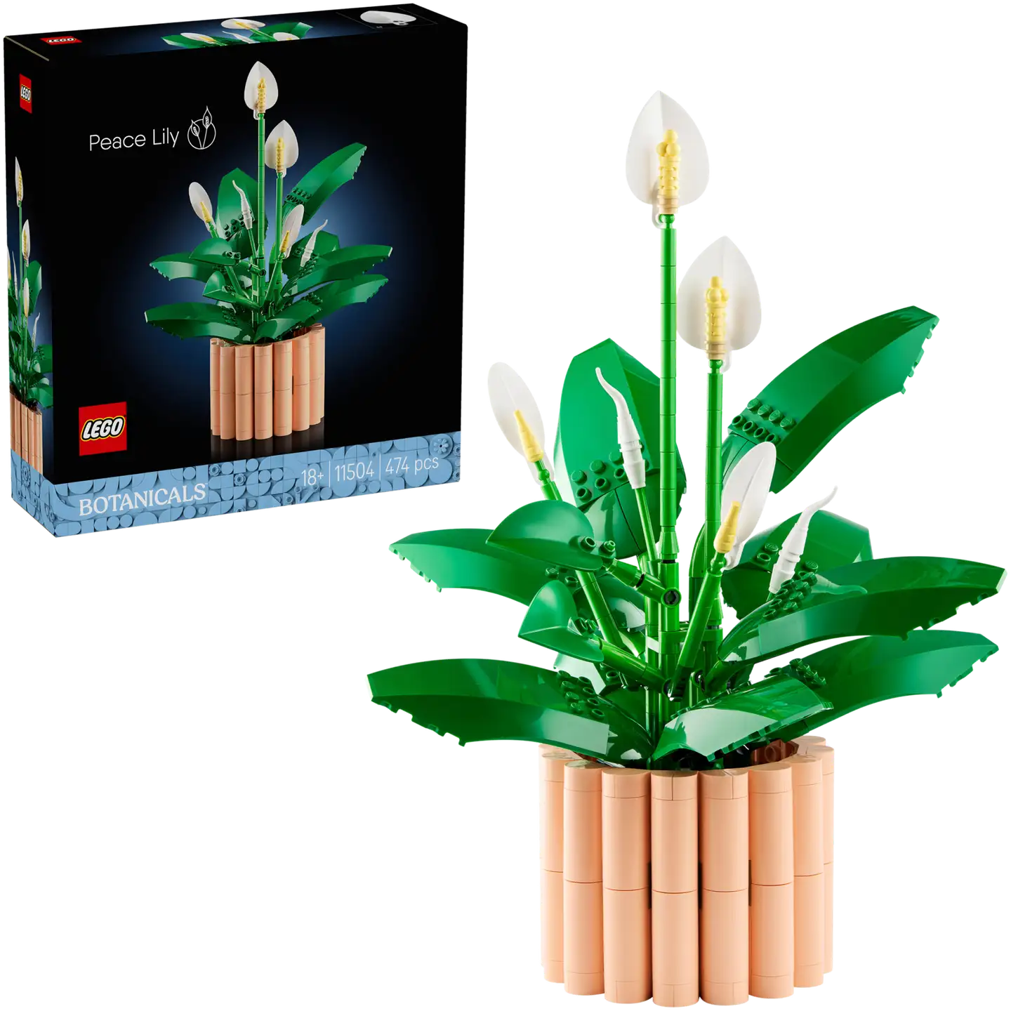LEGO® Botanicals 11504 Viirivehka - 1