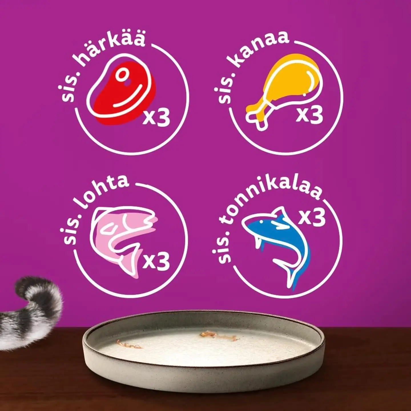 Whiskas 1+ Pure Delight valitut suikaleet hyytelössä (12 x 85 g) - 4