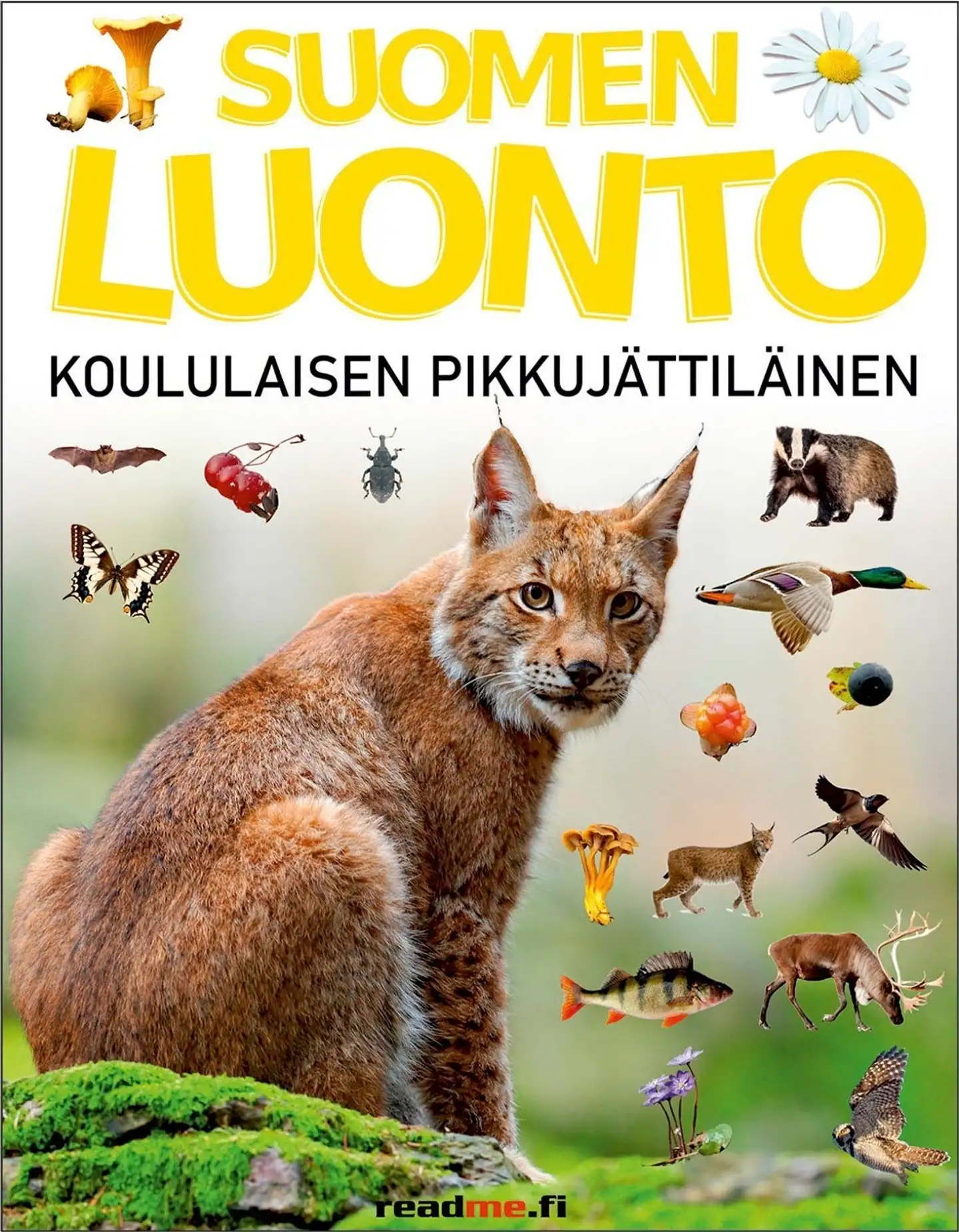 Ovaskainen, Suomen luonto - Koululaisen pikkujättiläinen