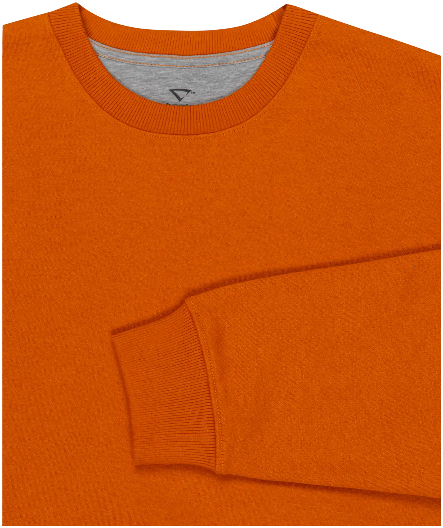 Cheetah miesten collegepusero CMT4305 - Pumpkin spice - 3