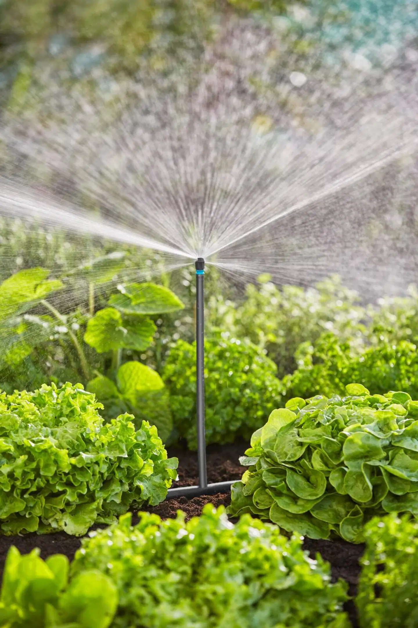 Gardena Micro-Drip-kastelusarja istutusalueelle - 8