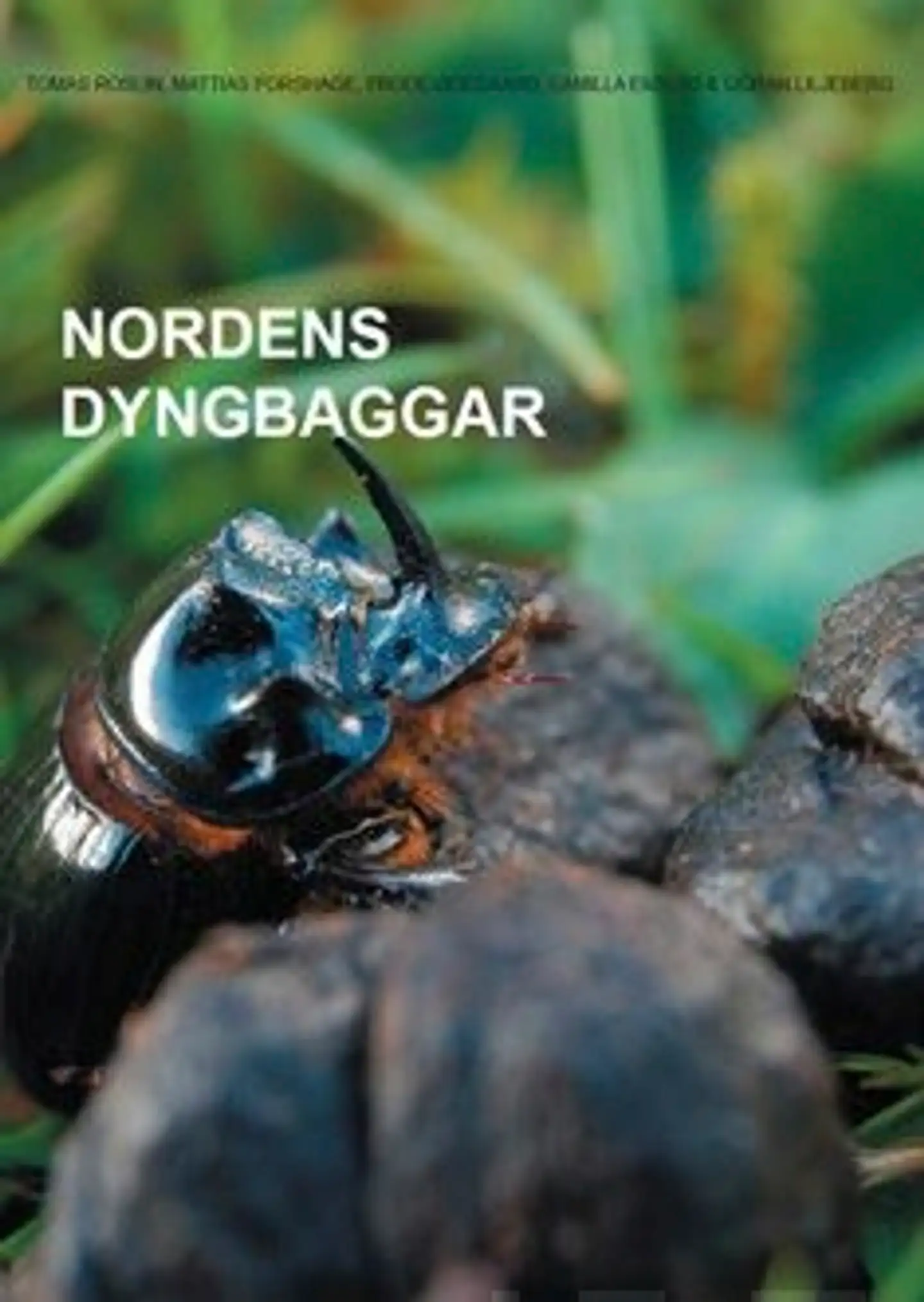 Roslin, Nordens dyngbaggar