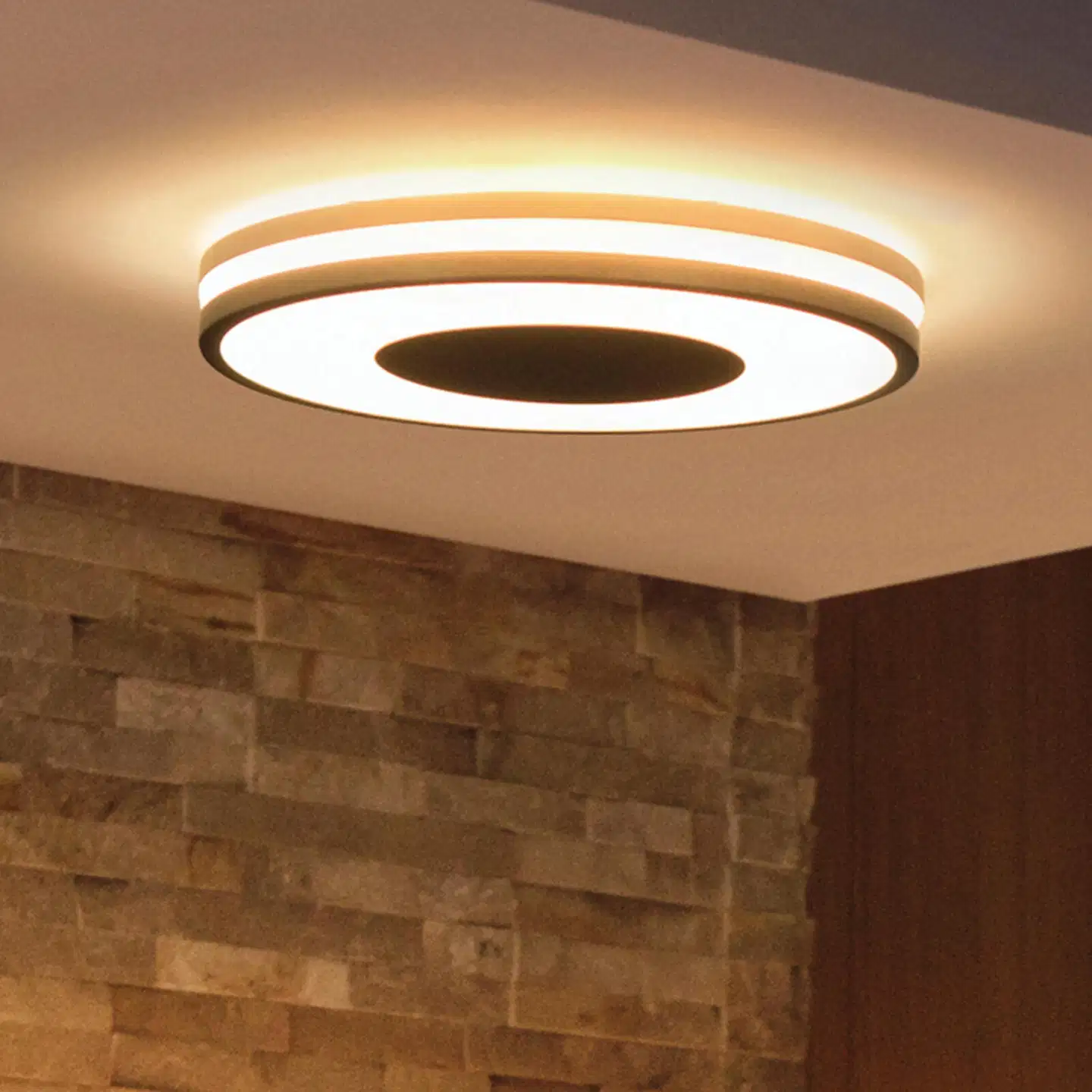 Philips Hue Being -kattovalaisin 23W 2200-6500K 2500LM musta - 4