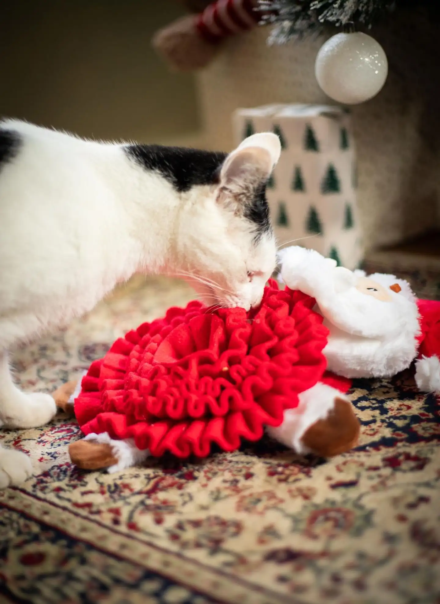 Rosewood Steve-nuuskupukki - 5