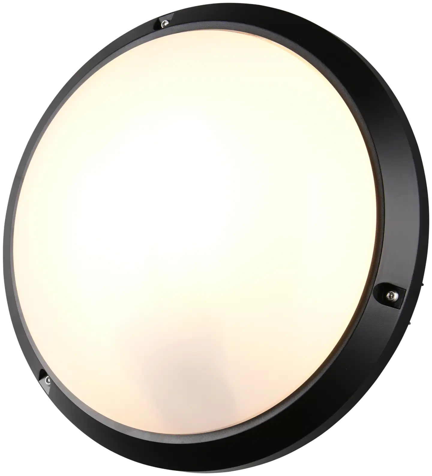 Trio ulkovalaisin Ambato 27 musta IP65 iskunkestävä IK10 seinä- ja kattoasennus - 5