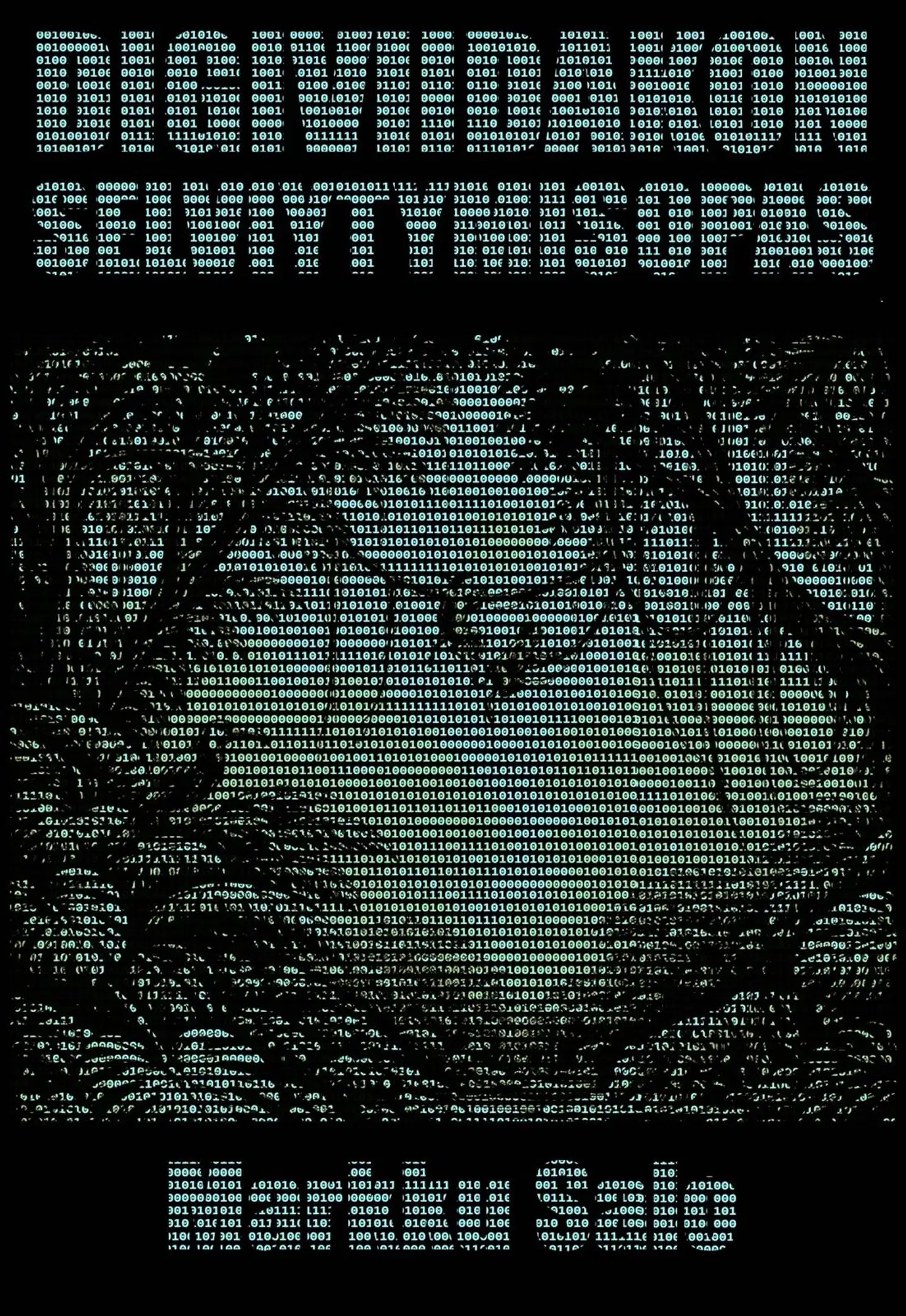 Salo, Digiviidakon selviytymisopas - Kansalaisen tietoturvaopas