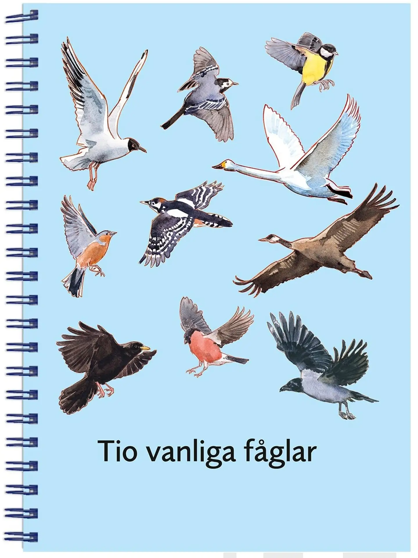 Vahlberg, Tio vanliga fåglar, fakta- och arbetsbok