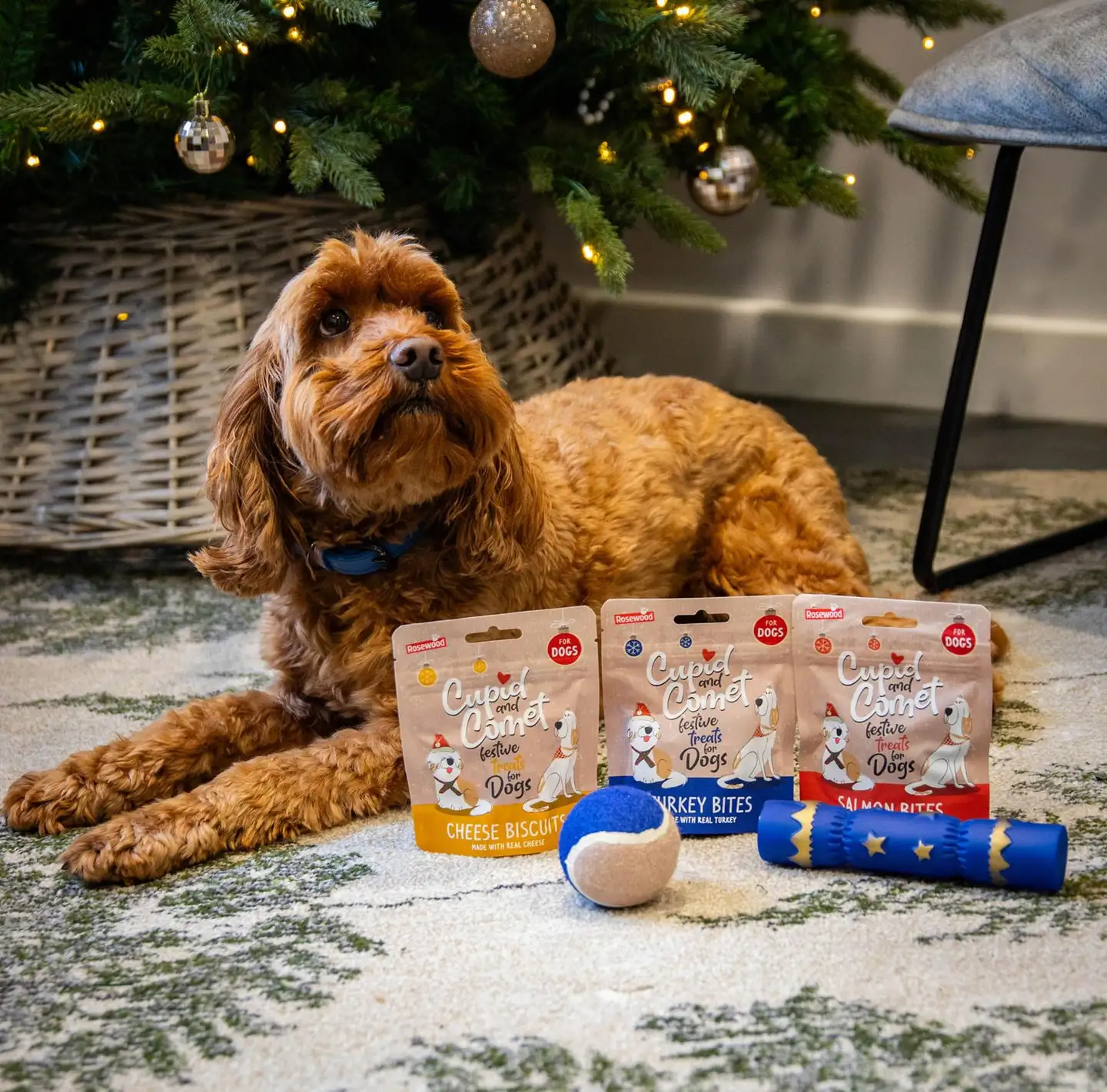 Rosewood jouluinen herkkusukka koirille - 6
