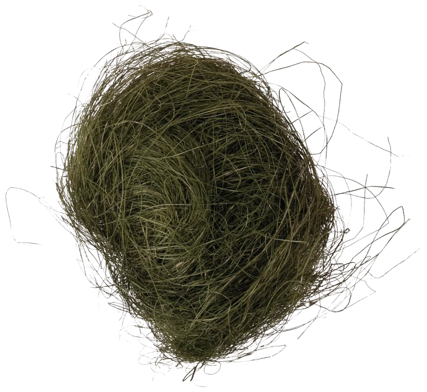 Rayher Hobby ruohokuitu, tummanvihreä, pussi 20g - 1