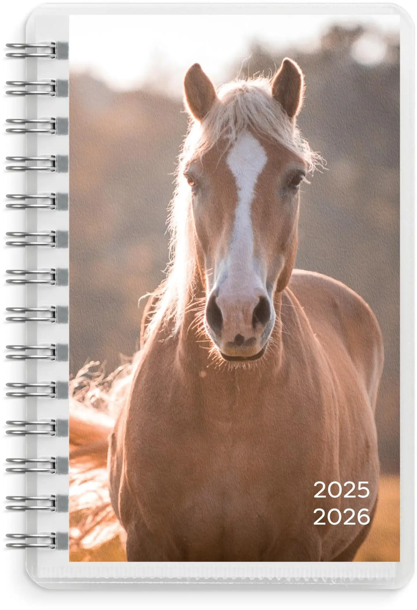 Burde Kalenteri 25/26 Compact Pets - 3