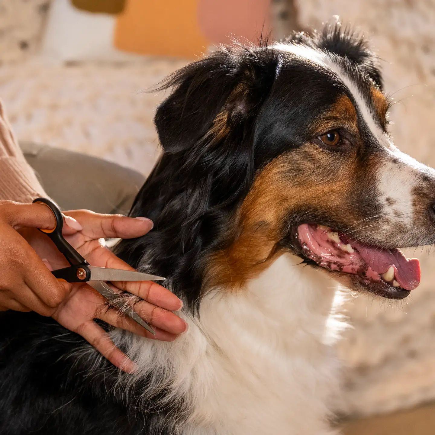 Fiskars lemmikin trimmaussakset - 5