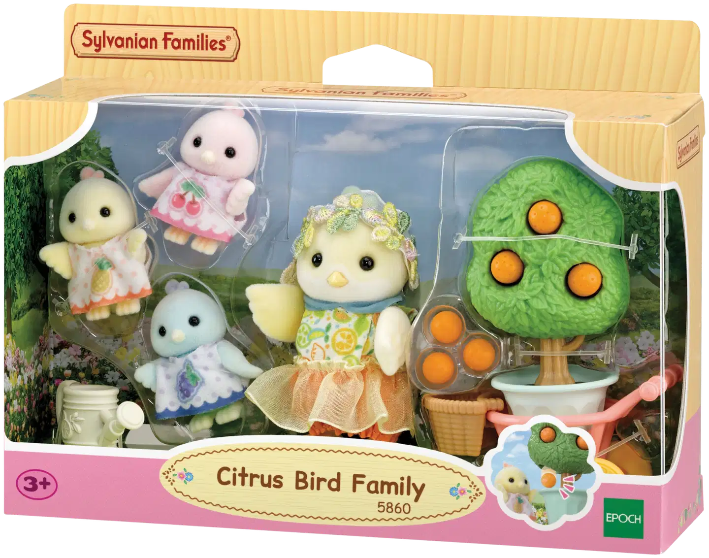 Sitruslintuperhe - 1