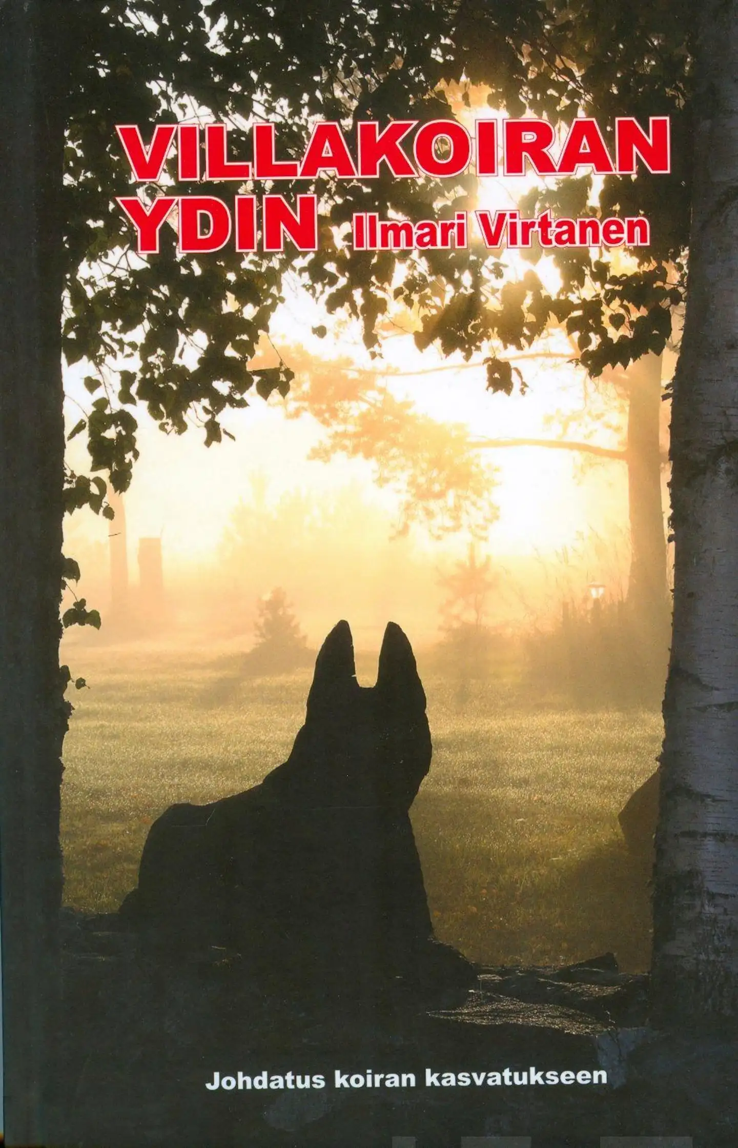 Virtanen, Villakoiran ydin