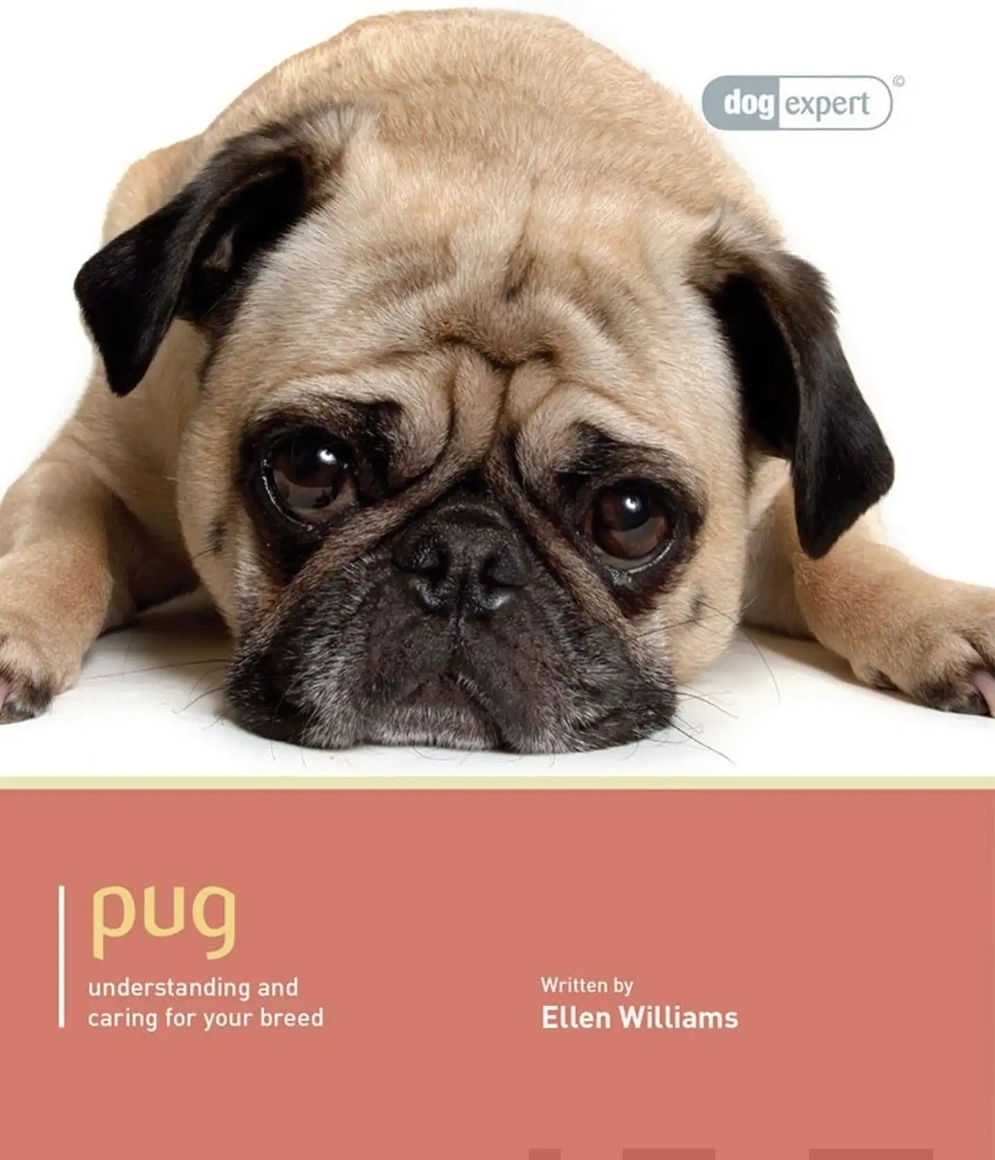 Williams, Pug - Understanding and caring for your breed