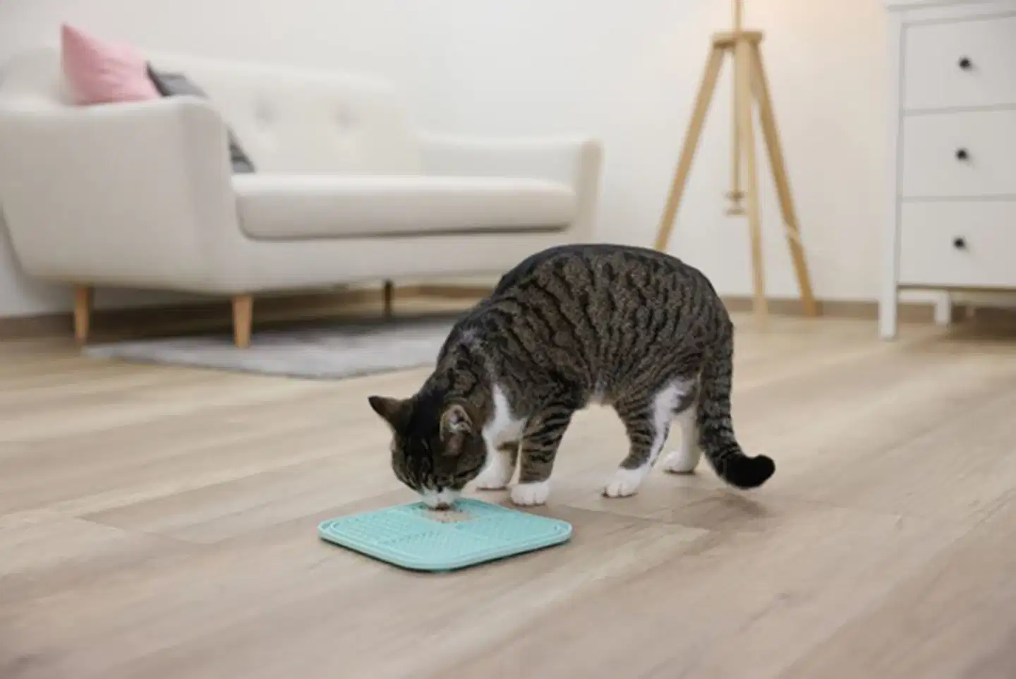 Kerbl lemmikin nuolumatto, turkoosi 20x20cm - 6