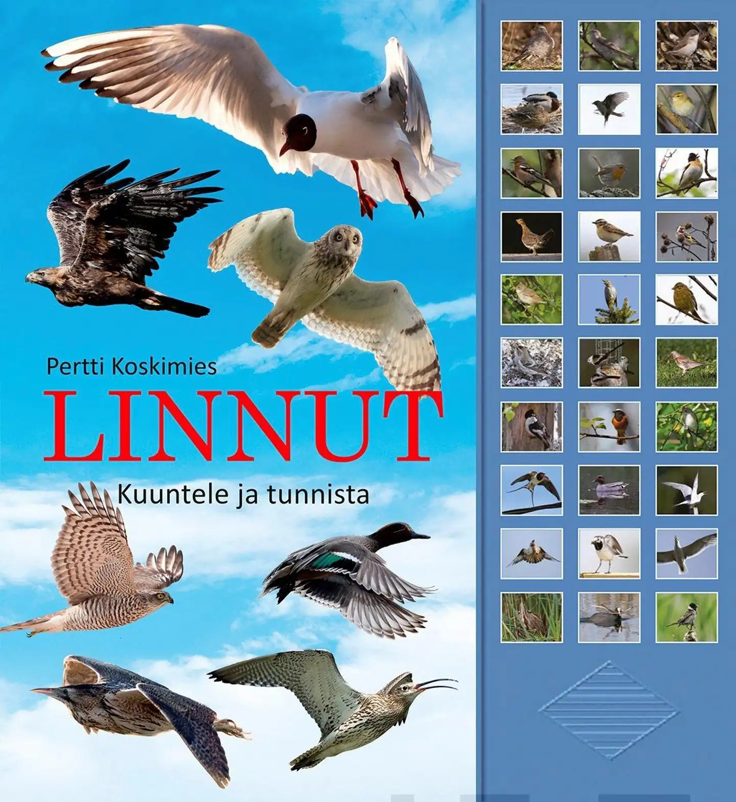 Koskimies, Linnut - kuuntele ja tunnista