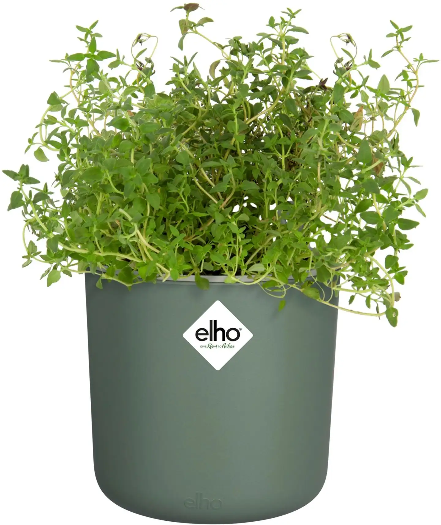 Elho yrttiruukku happy herbs 15 cm - 2